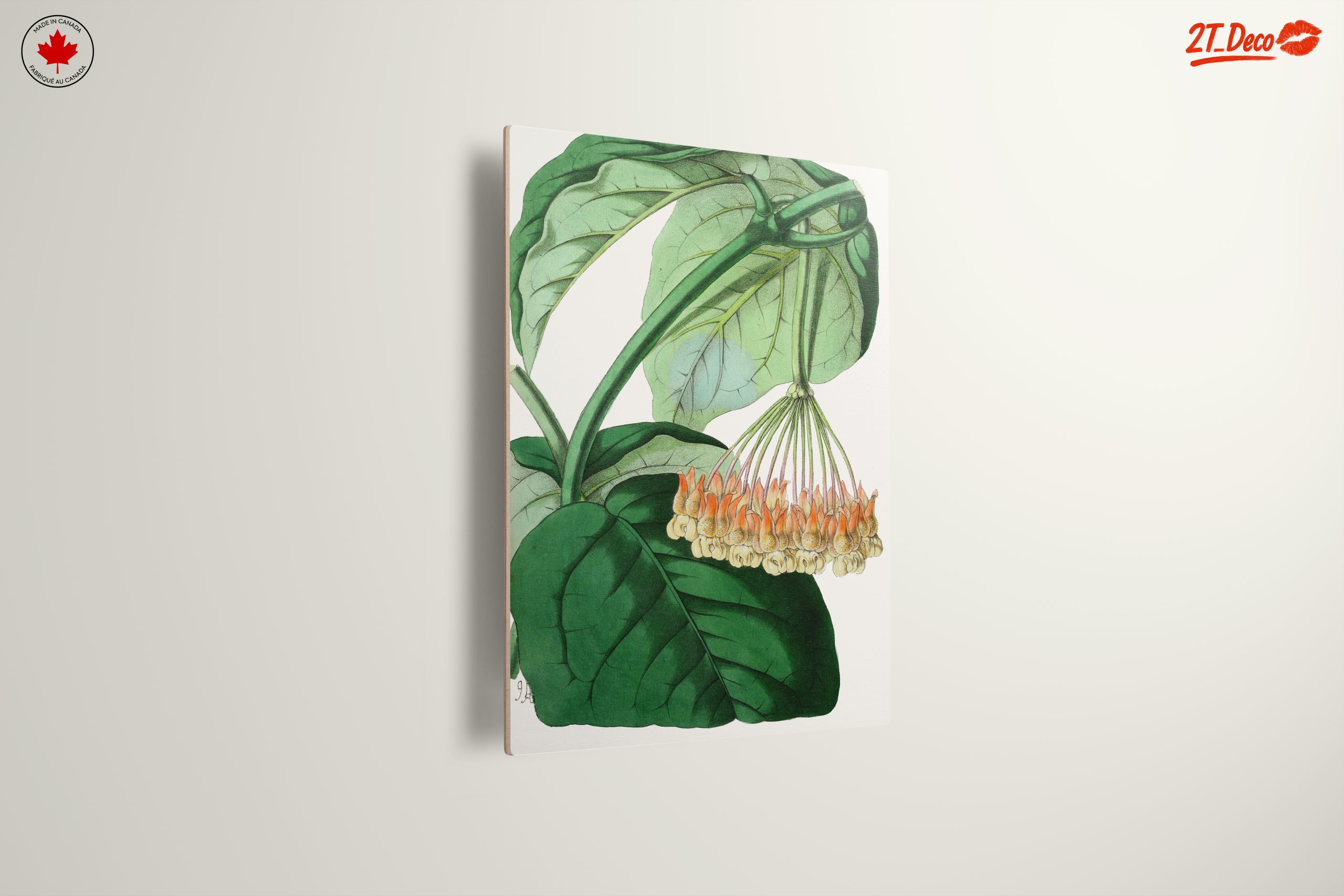 Intricate Botanical Illustration of Leaves and Flowers - Image 13