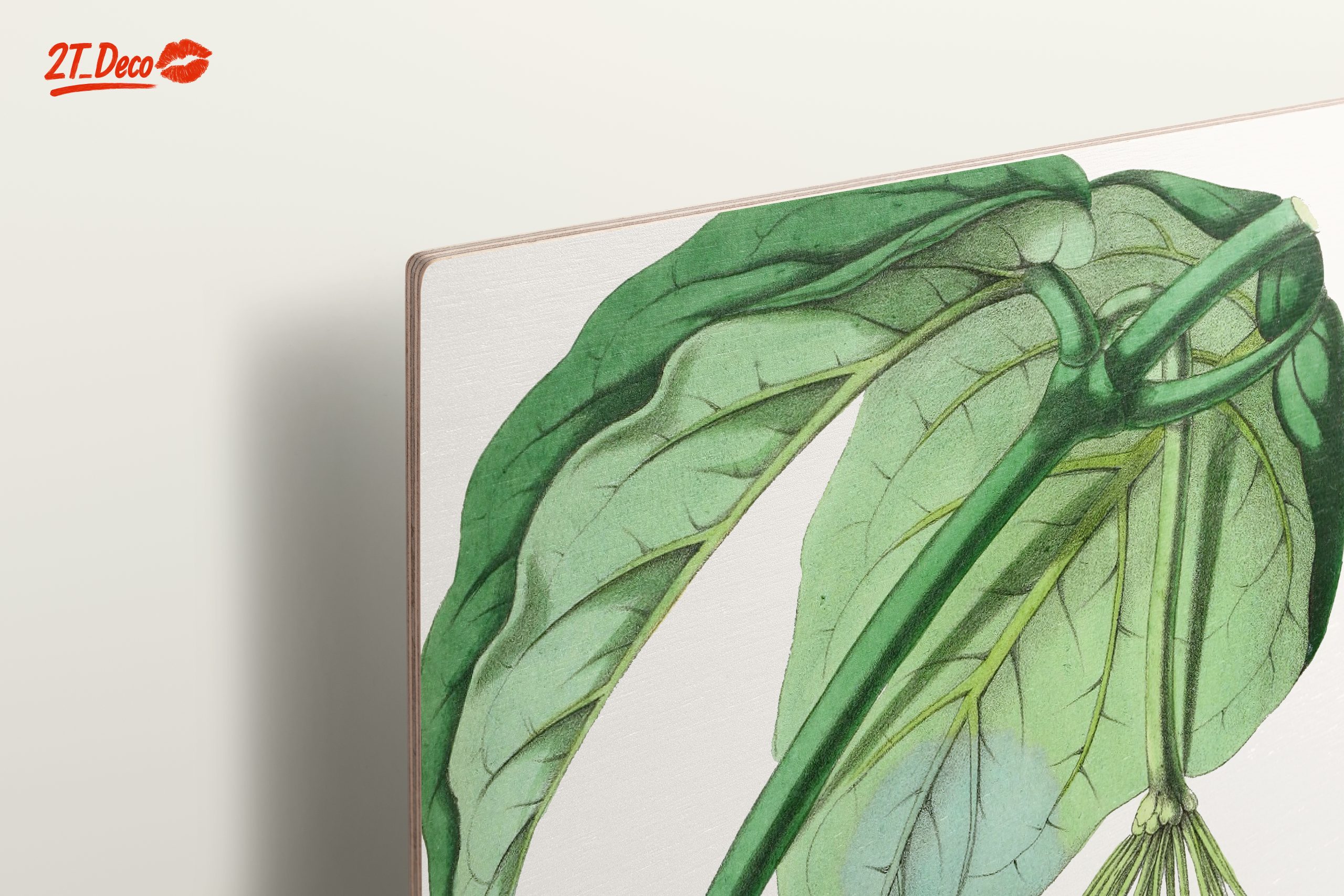 Intricate Botanical Illustration of Leaves and Flowers - Image 15