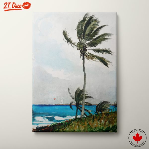 Coastal Adventure with Palm Trees and Lighthouse