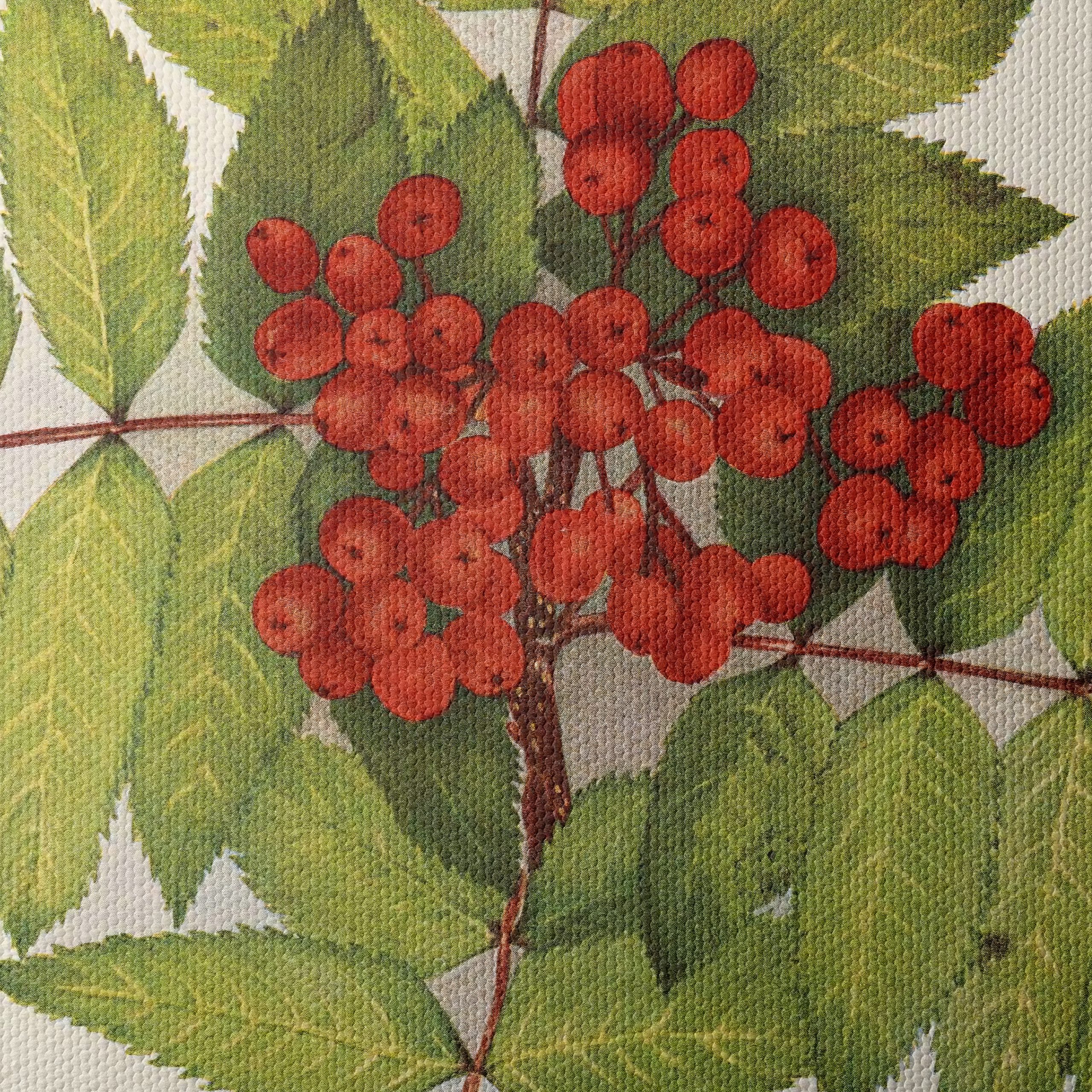 Vibrant Botanical Illustration of Rowan Berries - Image 4