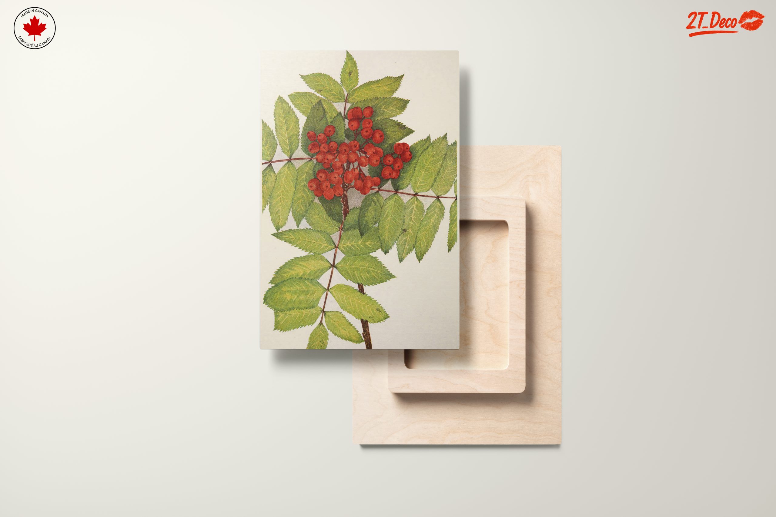 Vibrant Botanical Illustration of Rowan Berries - Image 11