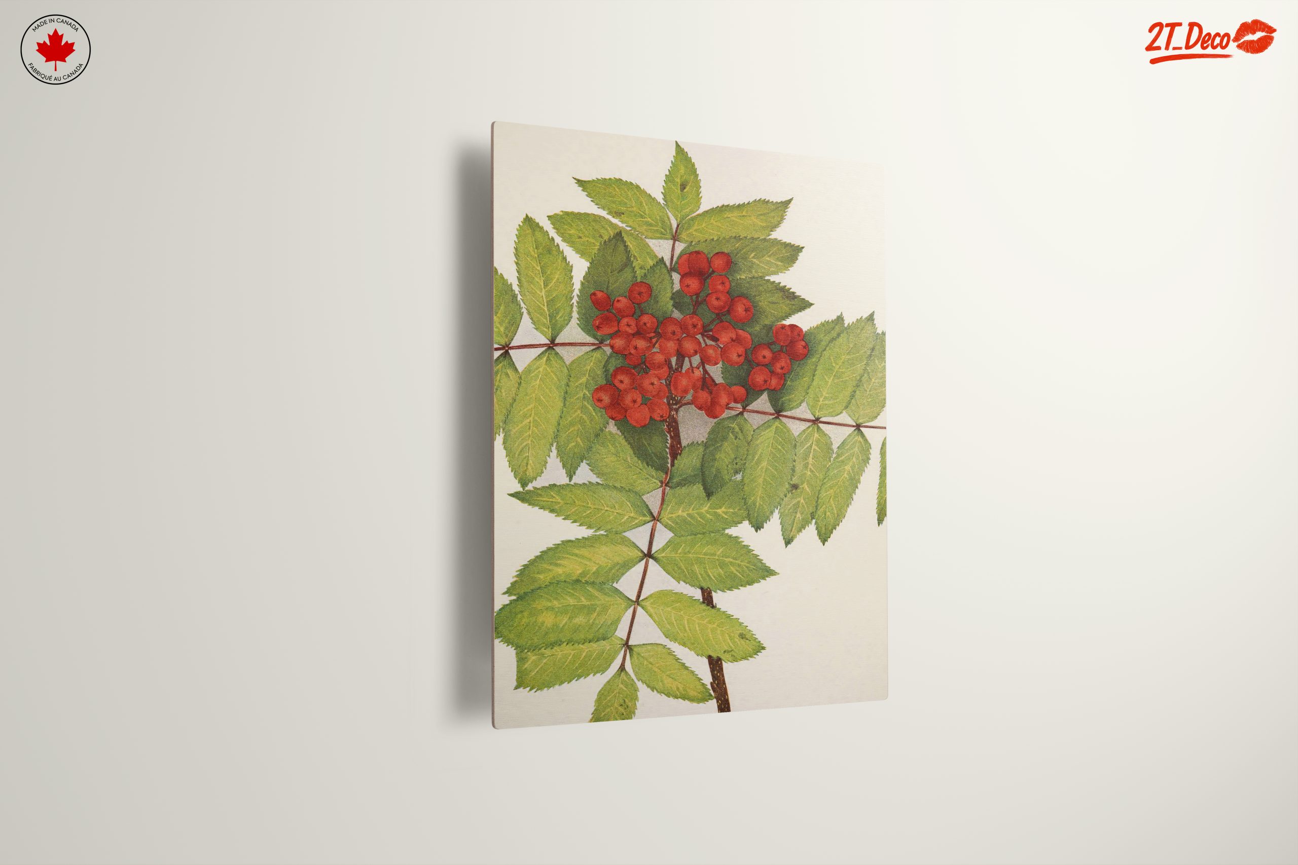 Vibrant Botanical Illustration of Rowan Berries - Image 13