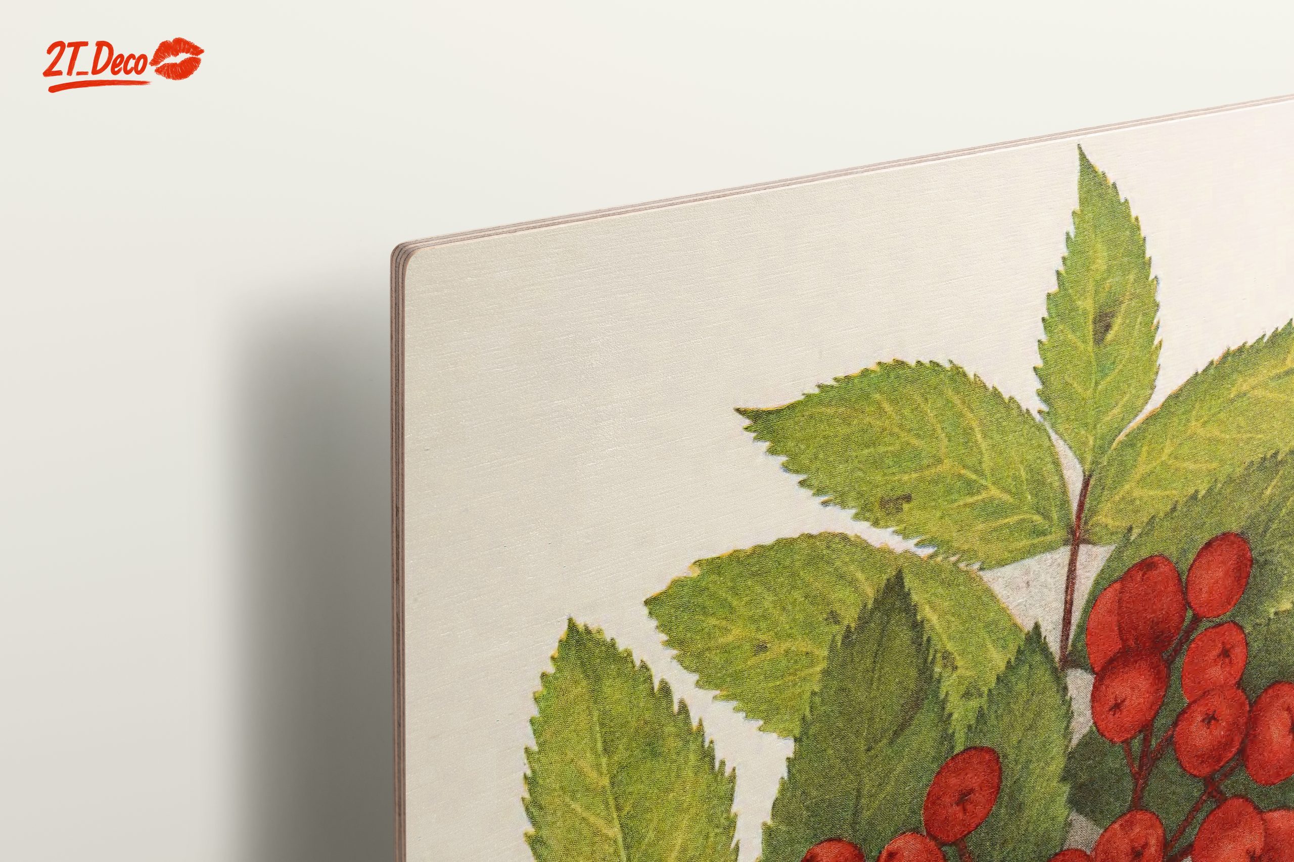 Vibrant Botanical Illustration of Rowan Berries - Image 15
