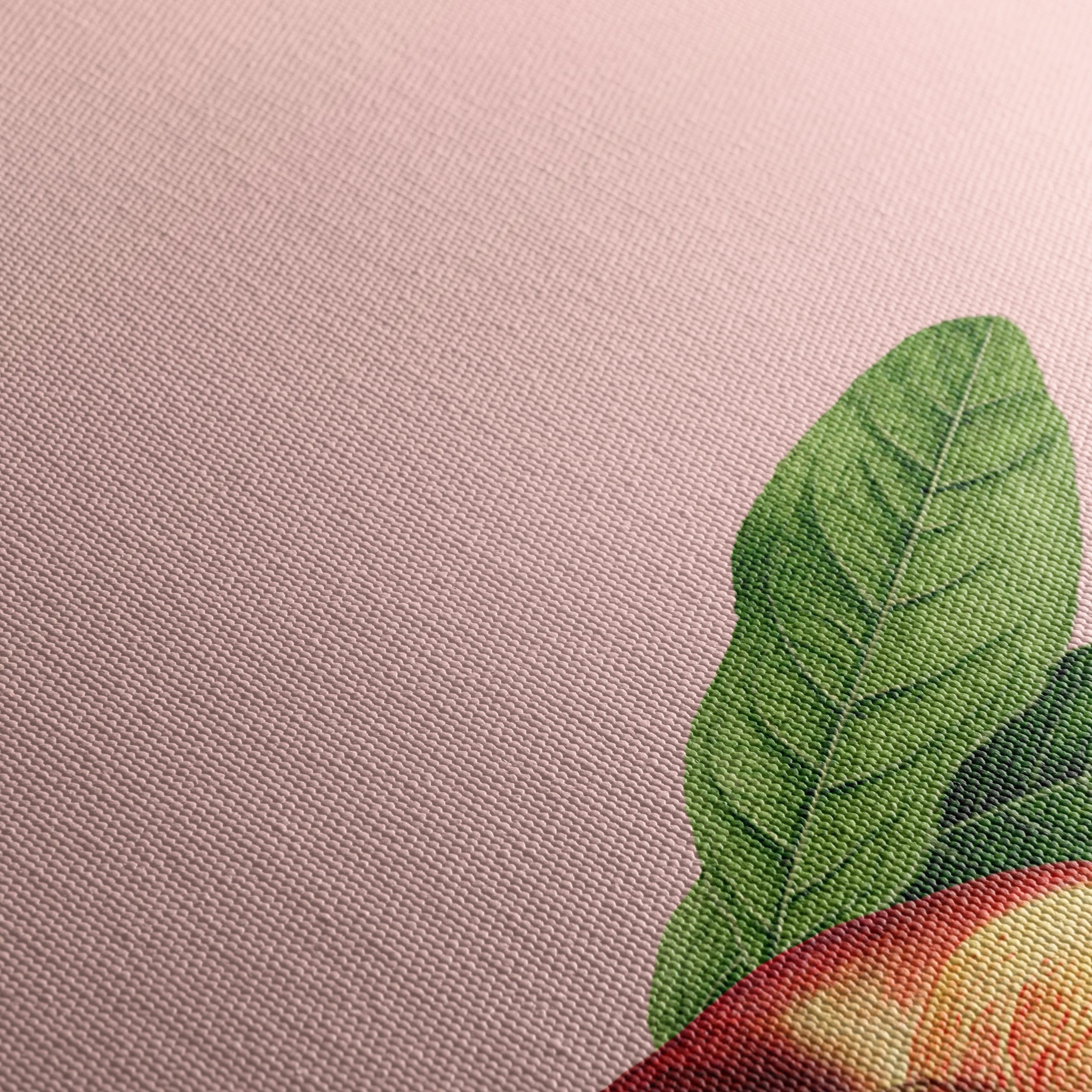 Peach Blossoms and Fruits Botanical Art - Image 5