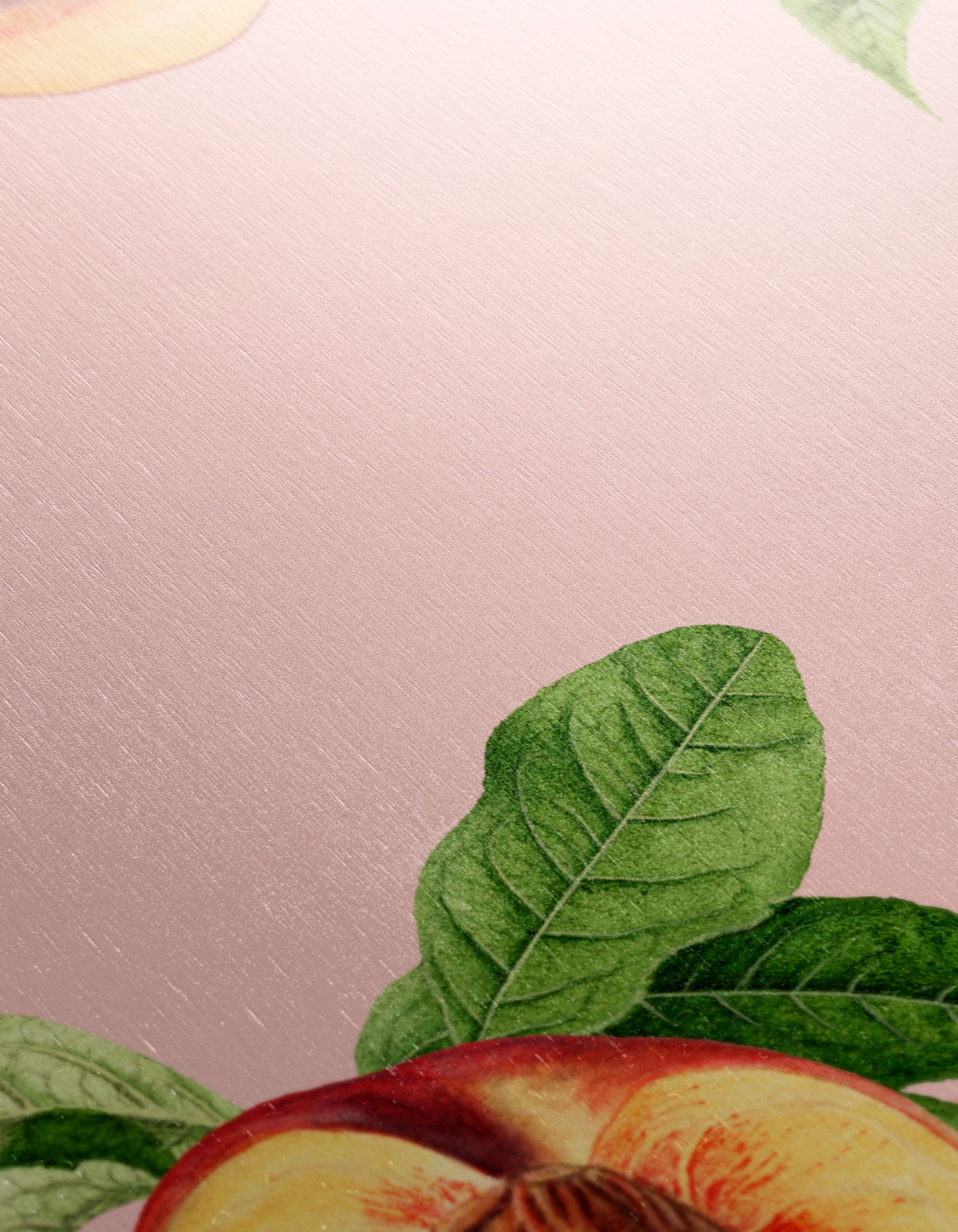 Peach Blossoms and Fruits Botanical Art - Image 12