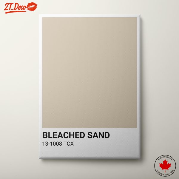 Bleached Sand Abstract Art