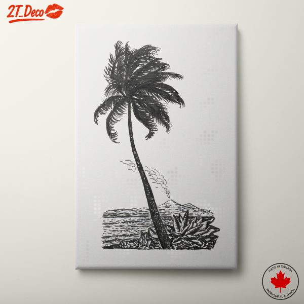 Palm Tree in Tropical Landscape