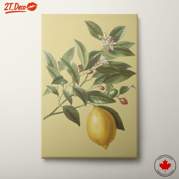 Lemon Branch Botanical Art with Leaves and Flowers