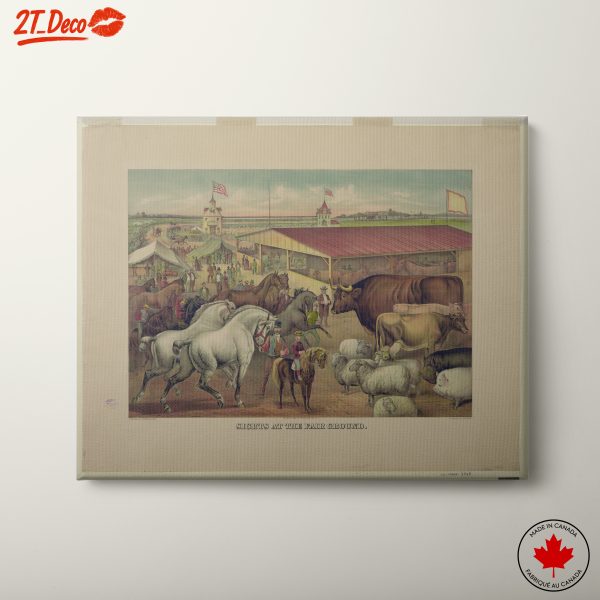 Farm Animals at the Fairground