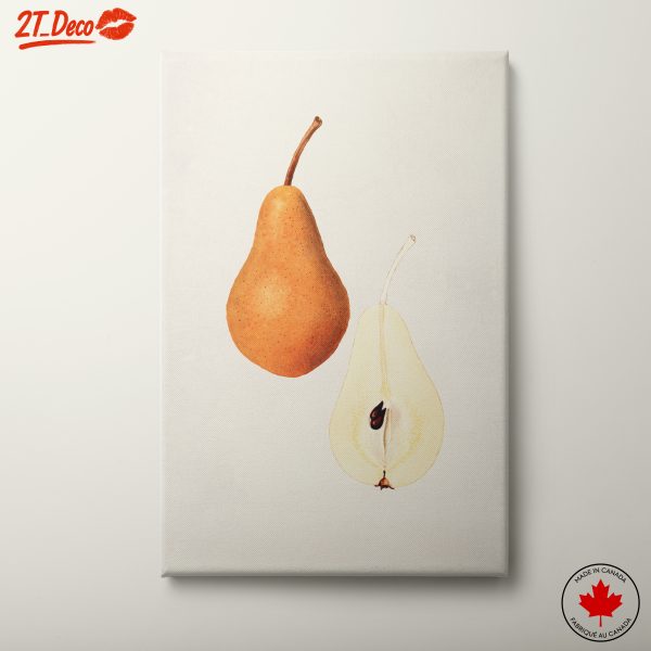 Stylized Pears Abstract Fruit Art