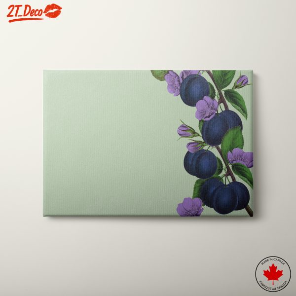 Elegant Botanical Illustration of Plums and Flowers