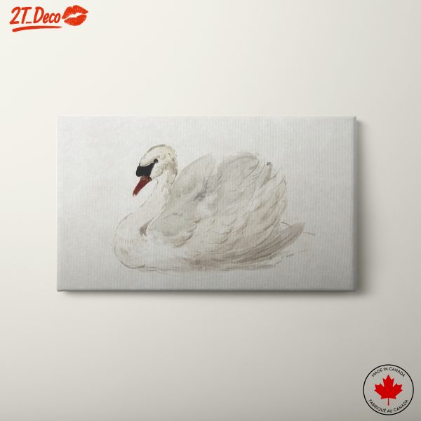Elegant Swan Watercolor Art