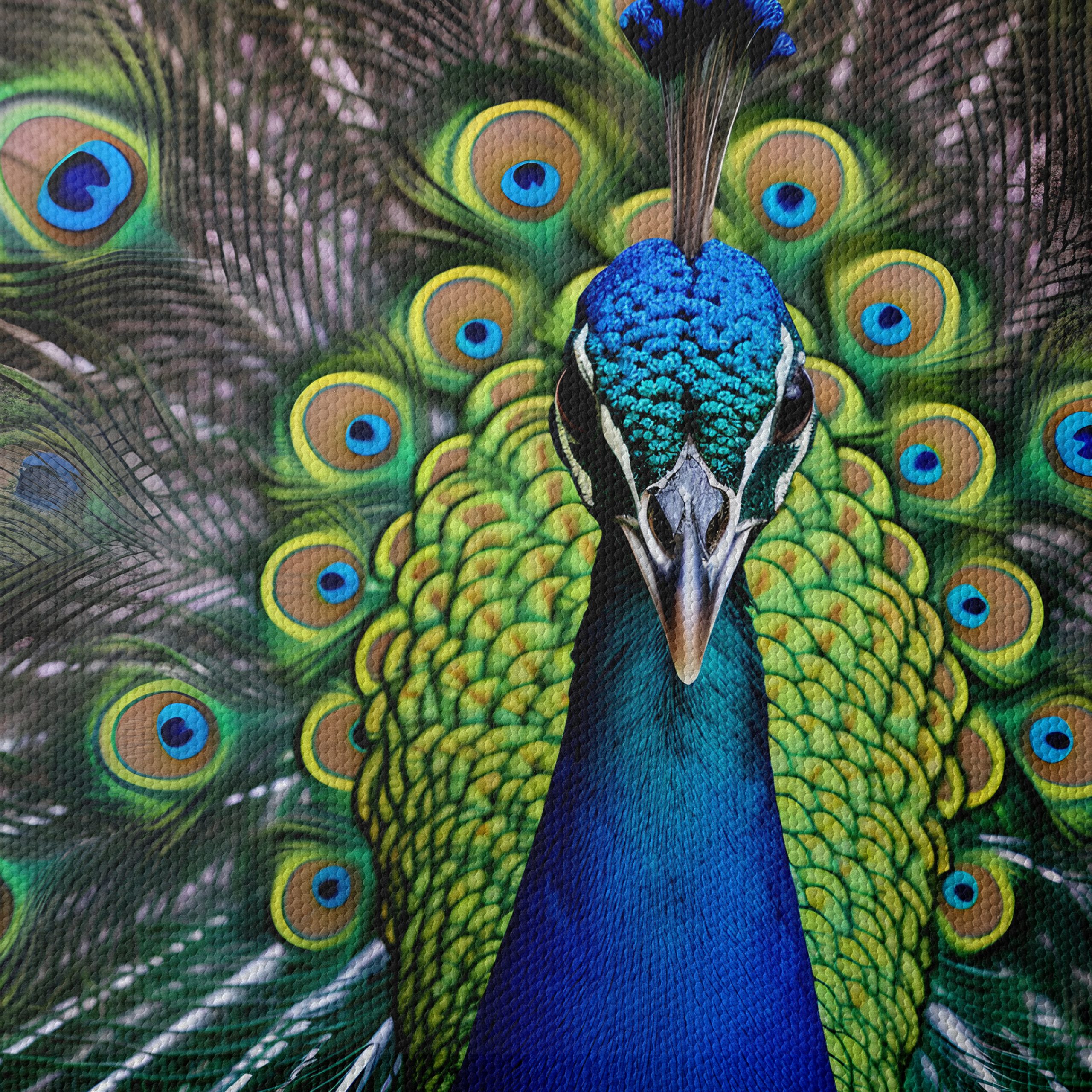 Vibrant Peacock with Colorful Plumage - Image 4