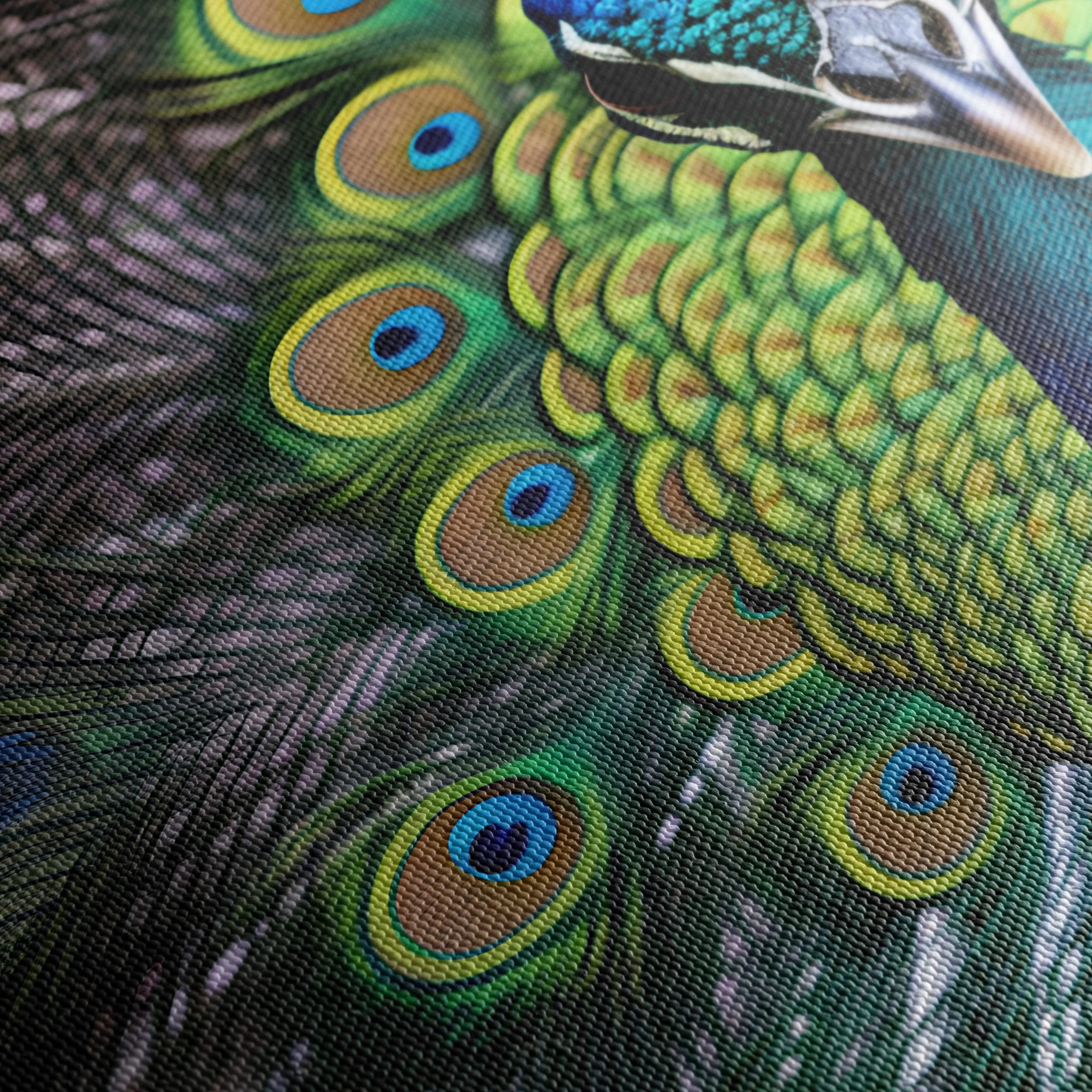 Vibrant Peacock with Colorful Plumage - Image 5