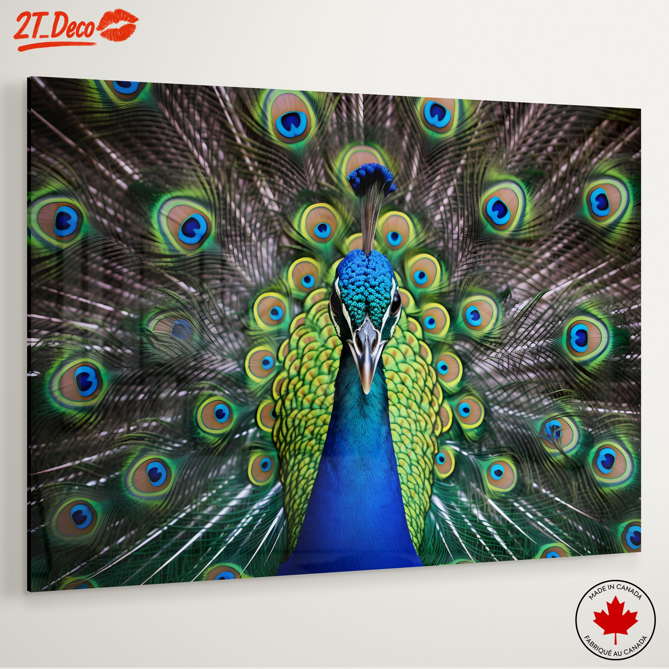 Vibrant Peacock with Colorful Plumage - Image 6