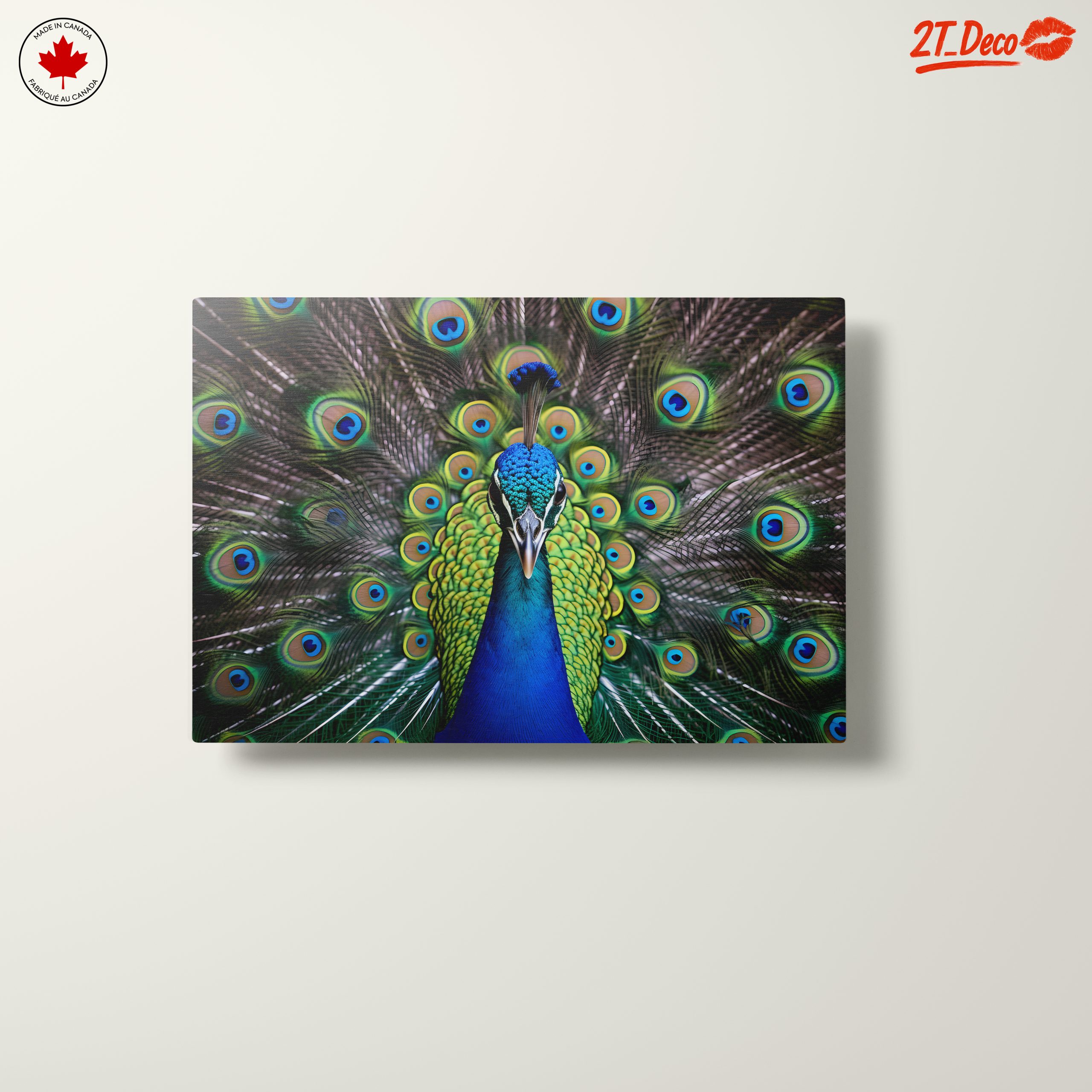 Vibrant Peacock with Colorful Plumage - Image 10