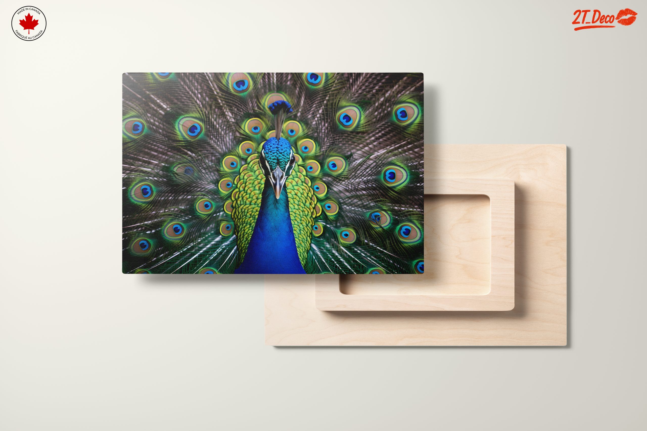 Vibrant Peacock with Colorful Plumage - Image 11
