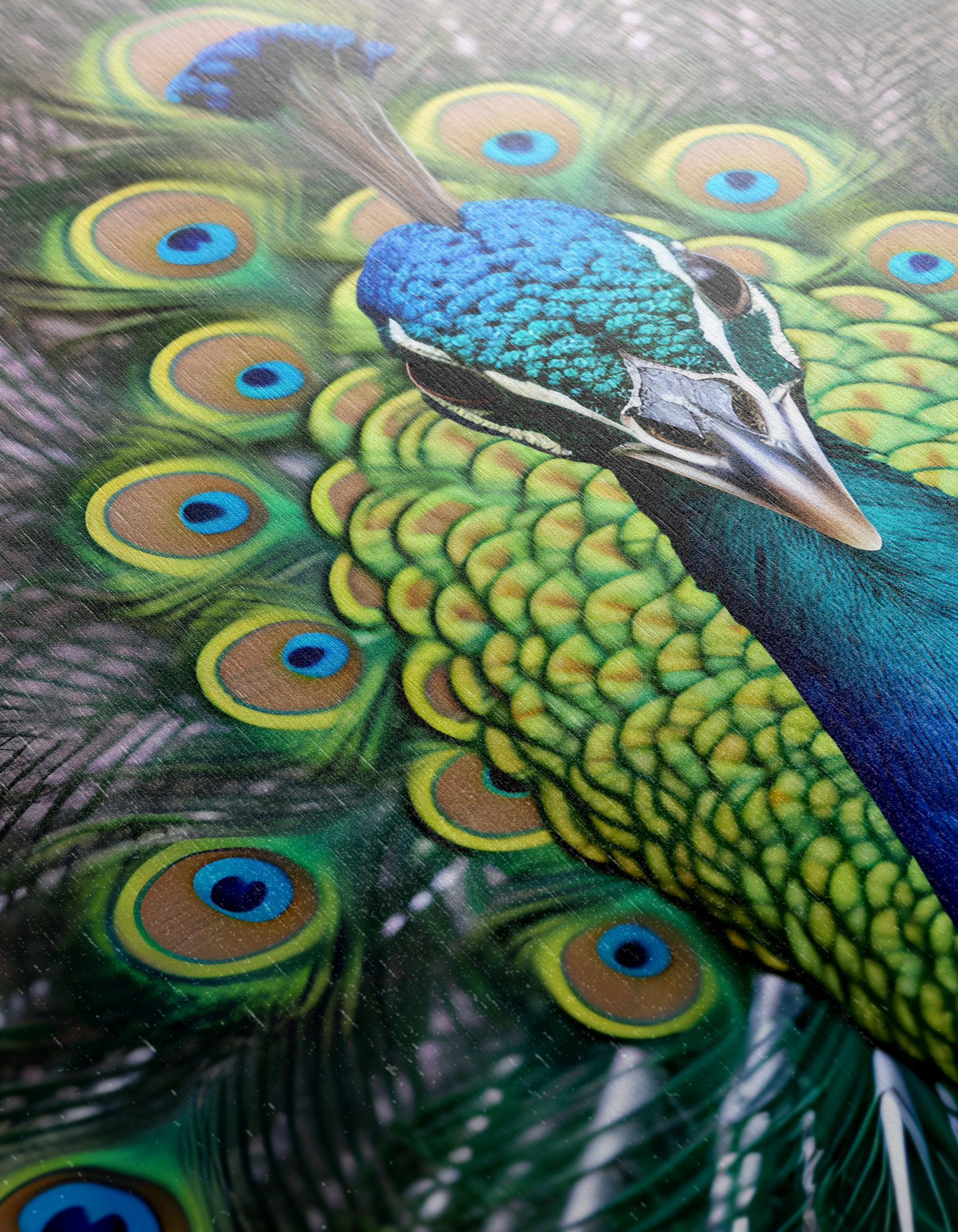 Vibrant Peacock with Colorful Plumage - Image 12