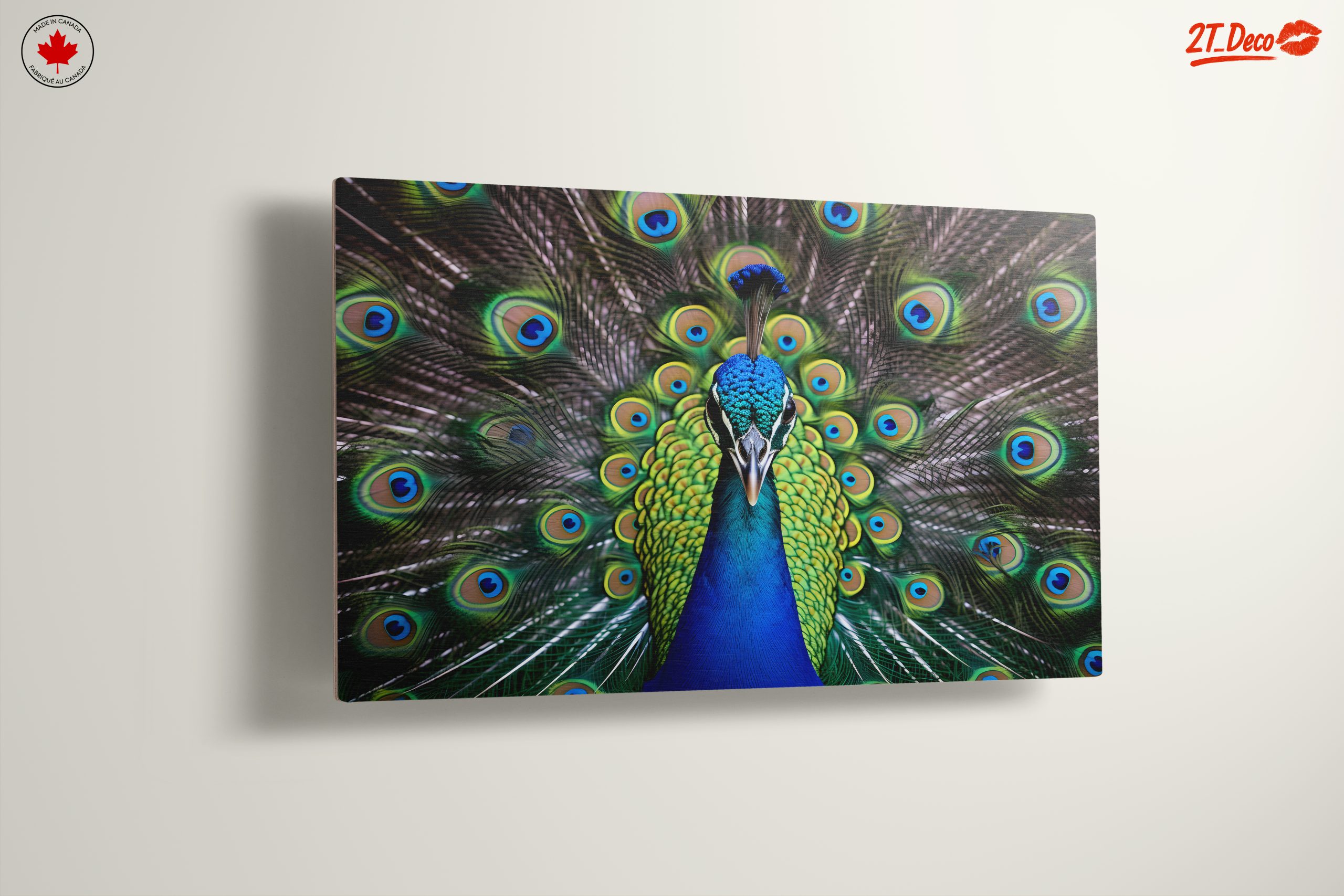 Vibrant Peacock with Colorful Plumage - Image 13