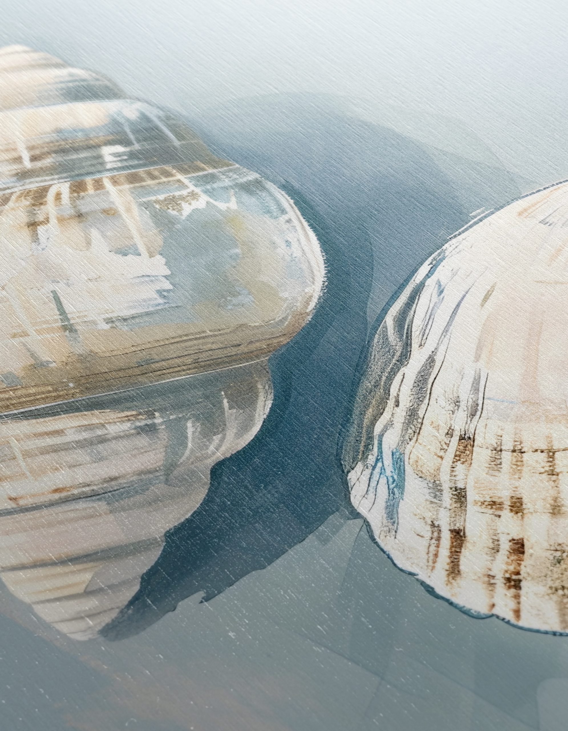 Abstract Seashell Illustration for Beach Lovers - Image 12