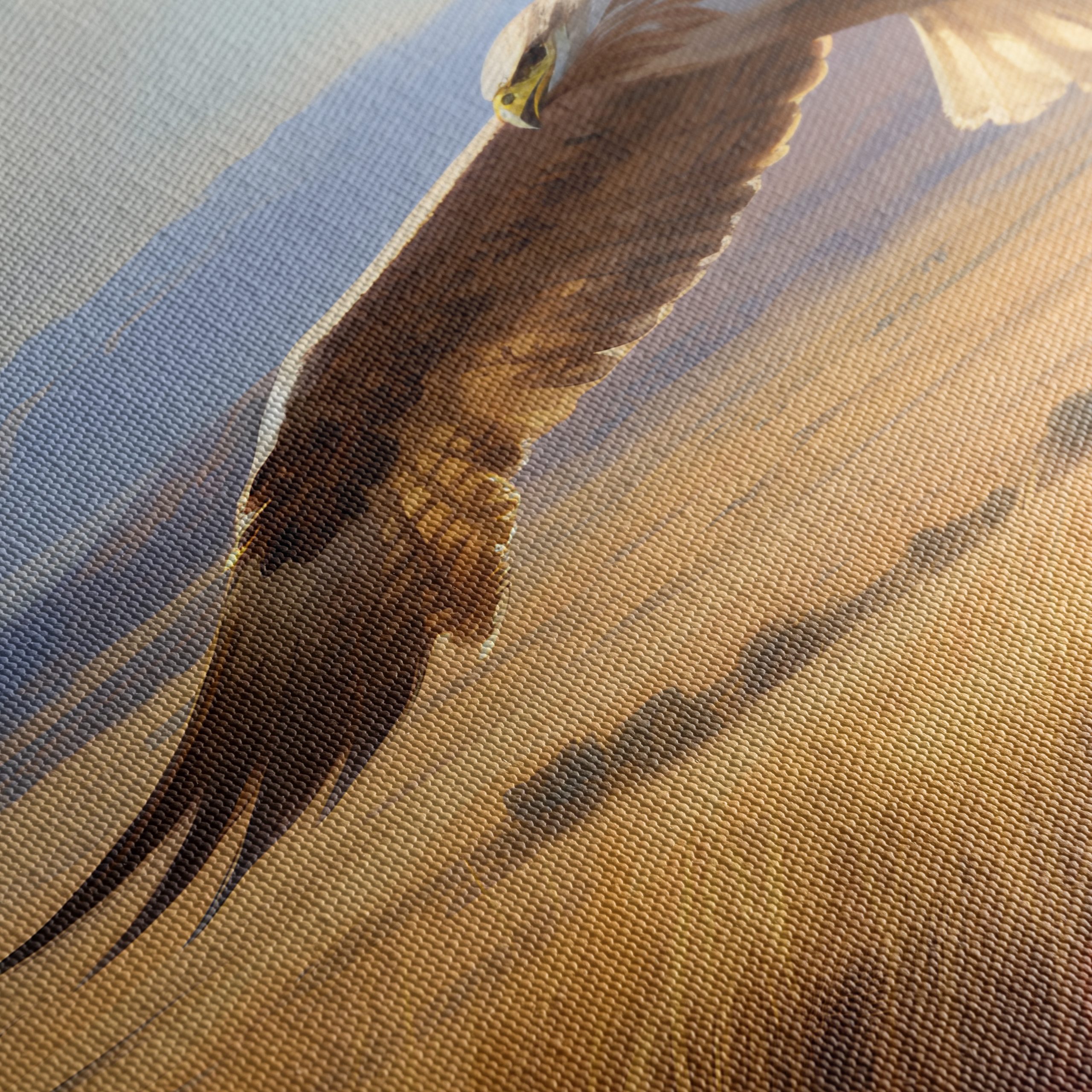 Majestic Bird in Flight Over Open Landscape - Image 5