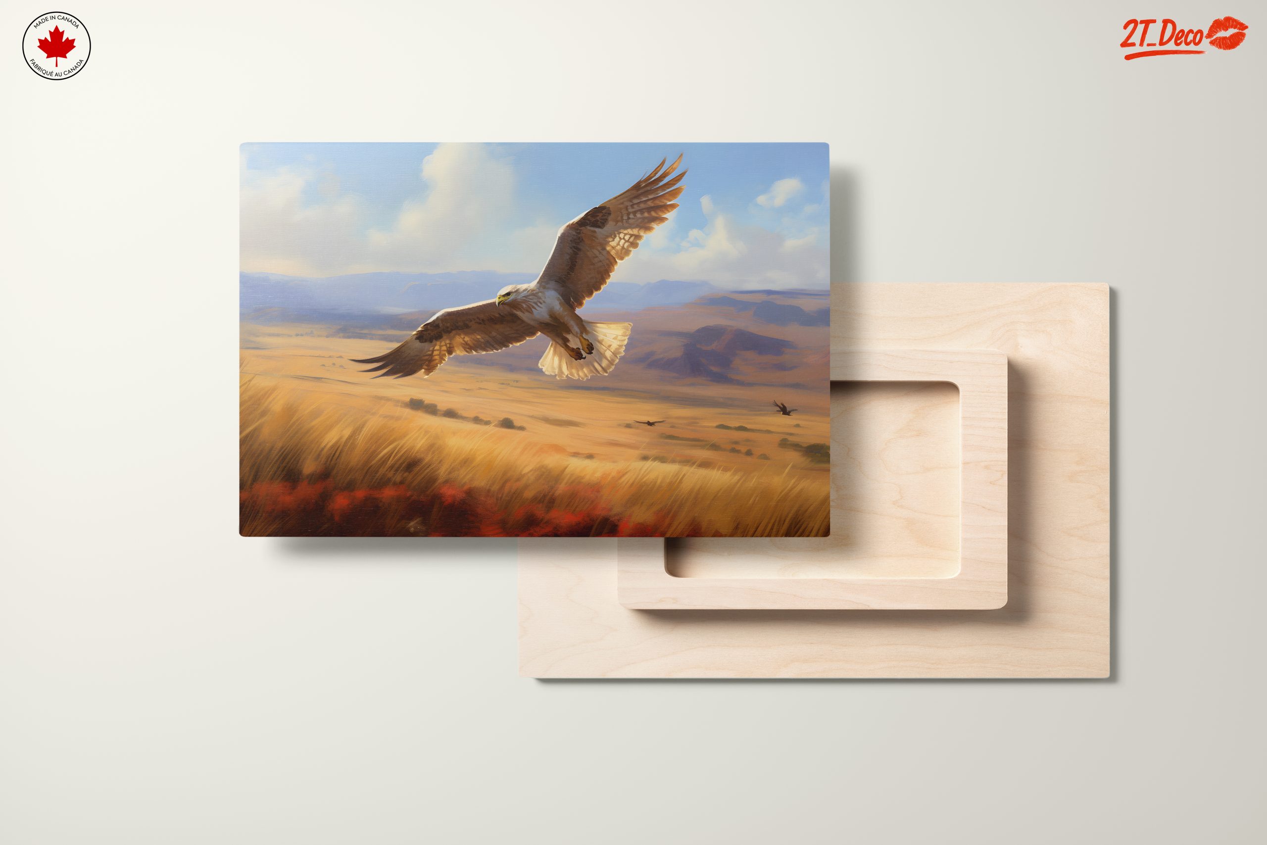 Majestic Bird in Flight Over Open Landscape - Image 11