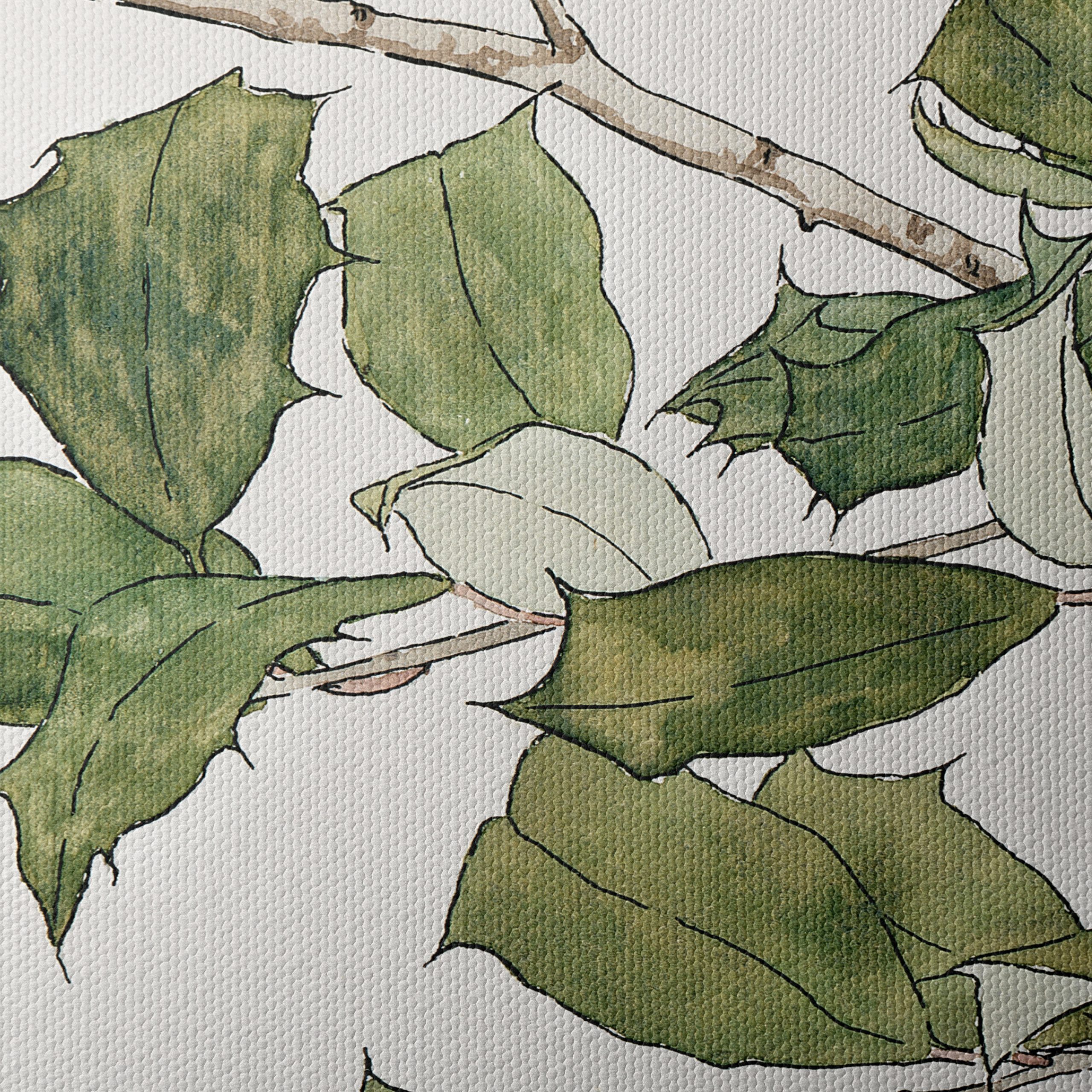 Holly Leaves and Berries Botanical Artwork - Image 4