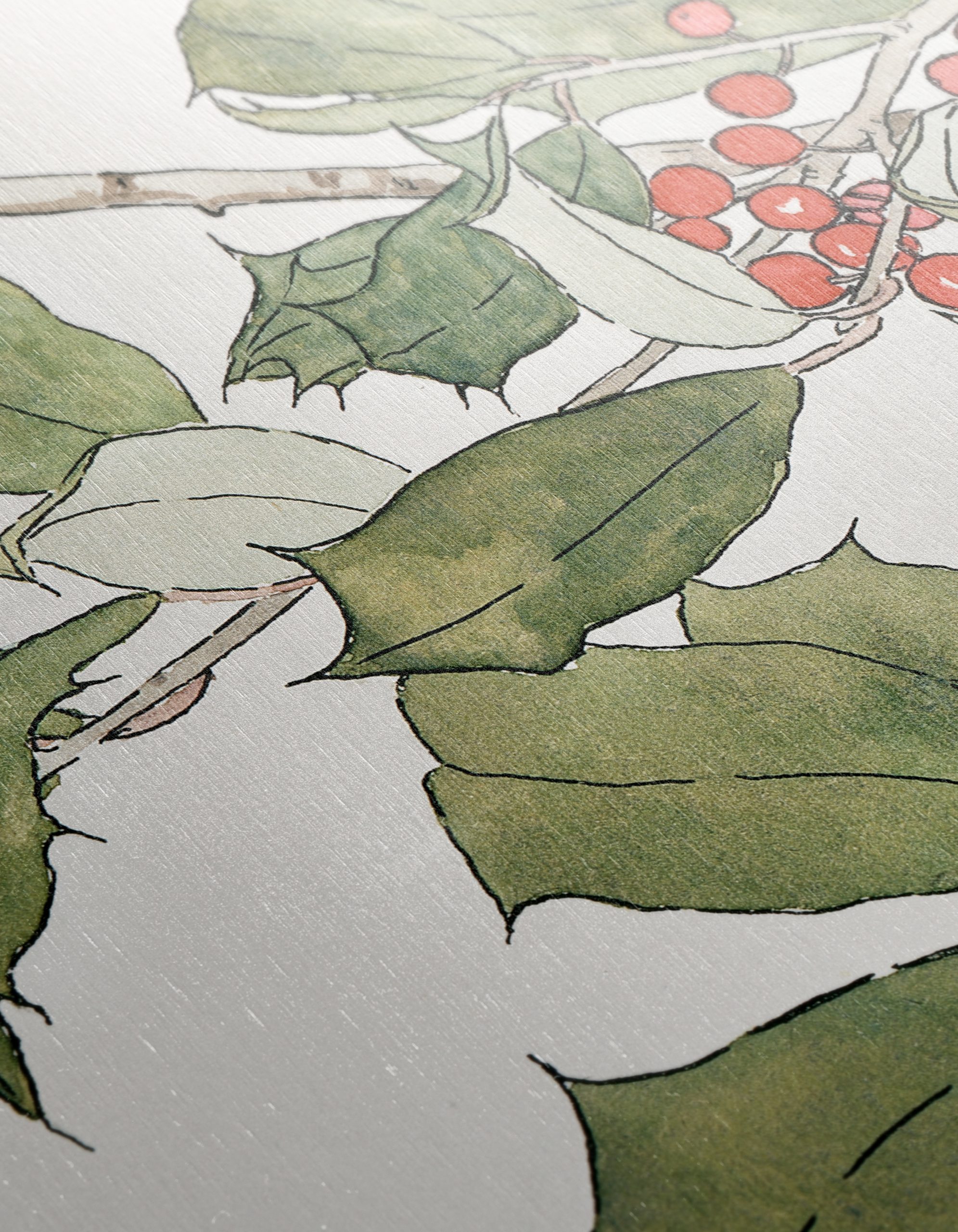 Holly Leaves and Berries Botanical Artwork - Image 12