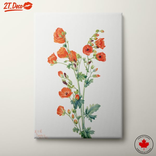 Vibrant Floral Illustration of Poppies