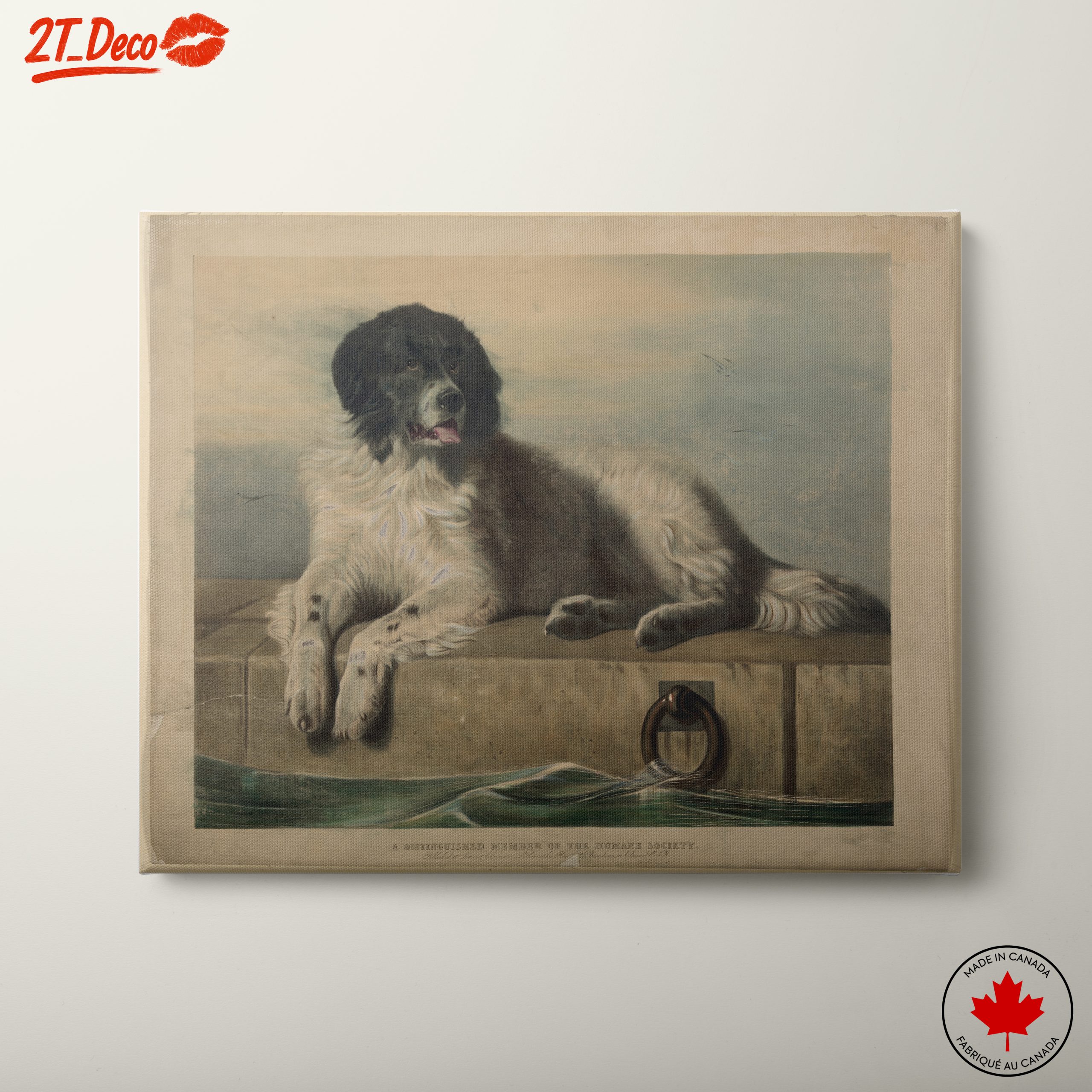 Realistic Dog Portrait Art 2