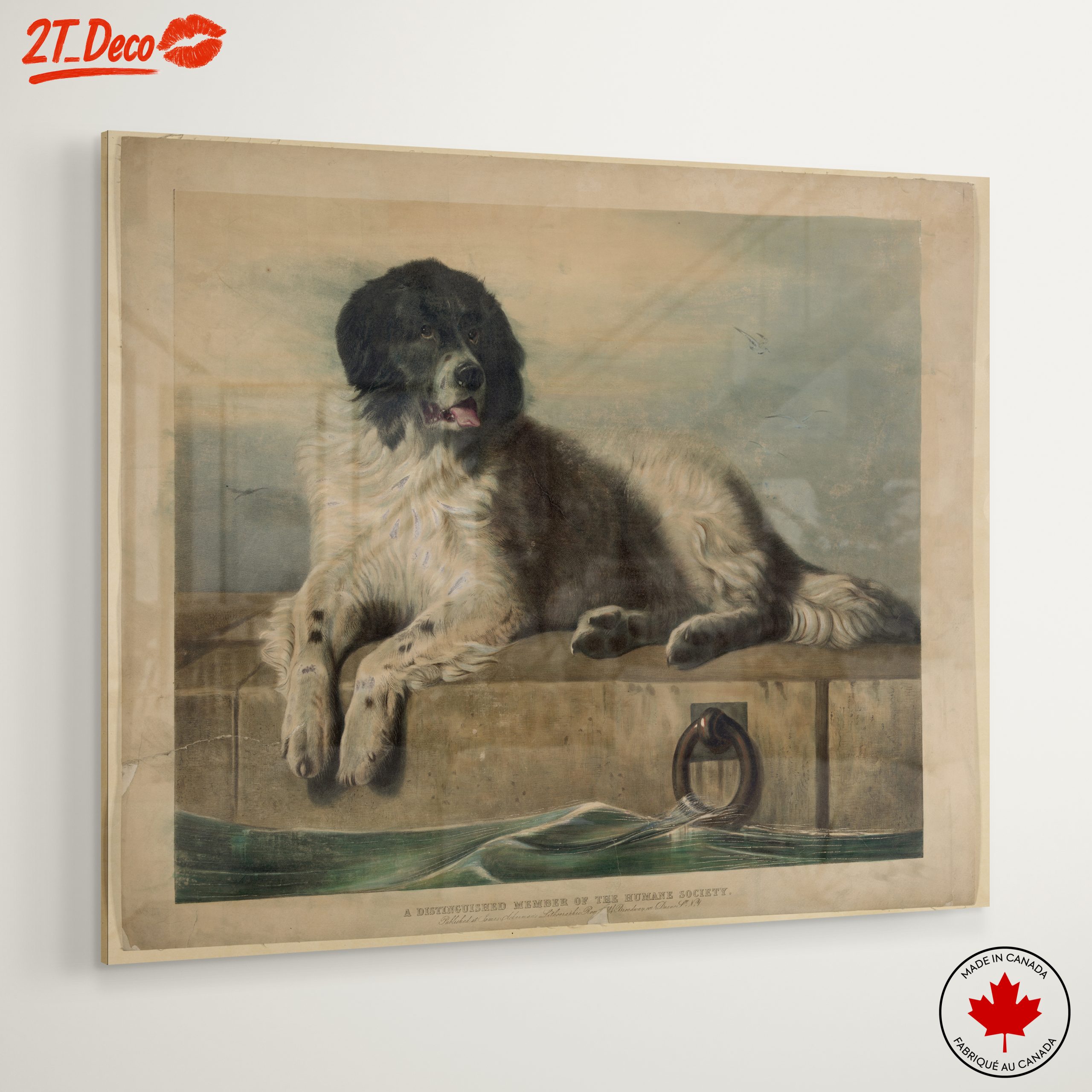 Realistic Dog Portrait Art 2 - Image 6