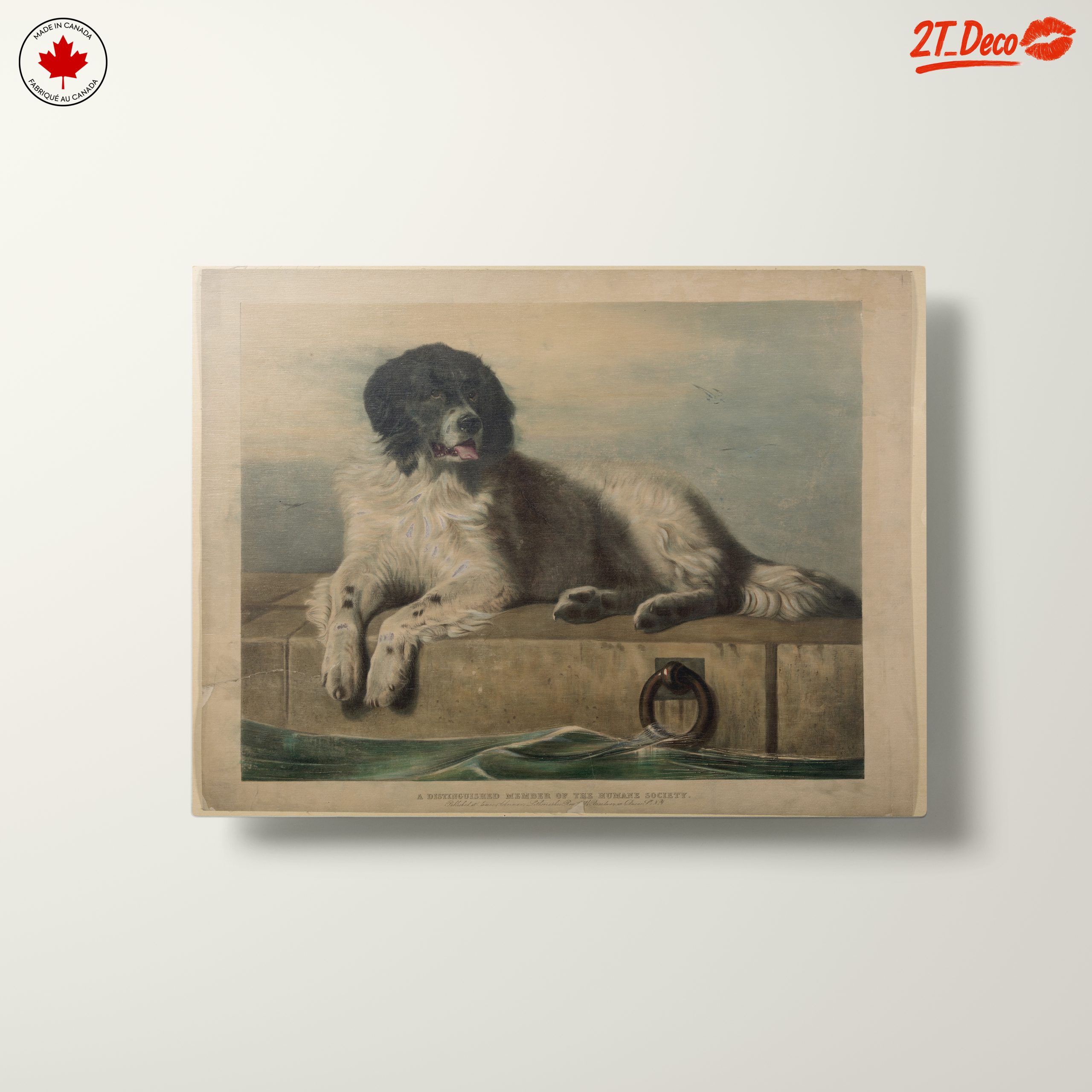 Realistic Dog Portrait Art 2 - Image 10