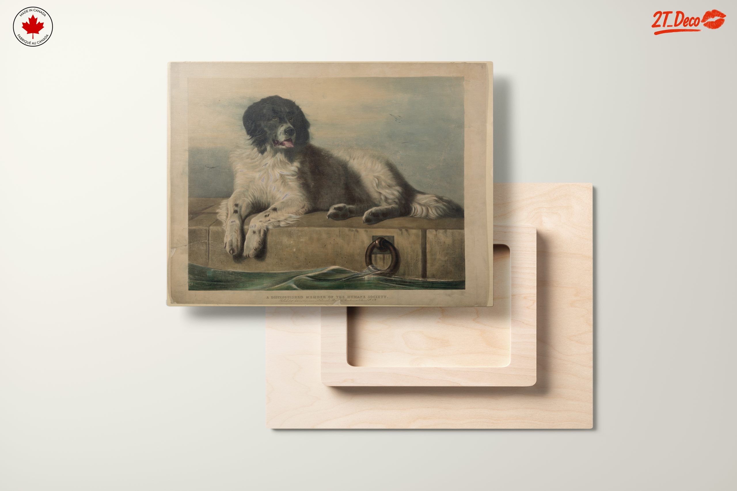 Realistic Dog Portrait Art 2 - Image 11