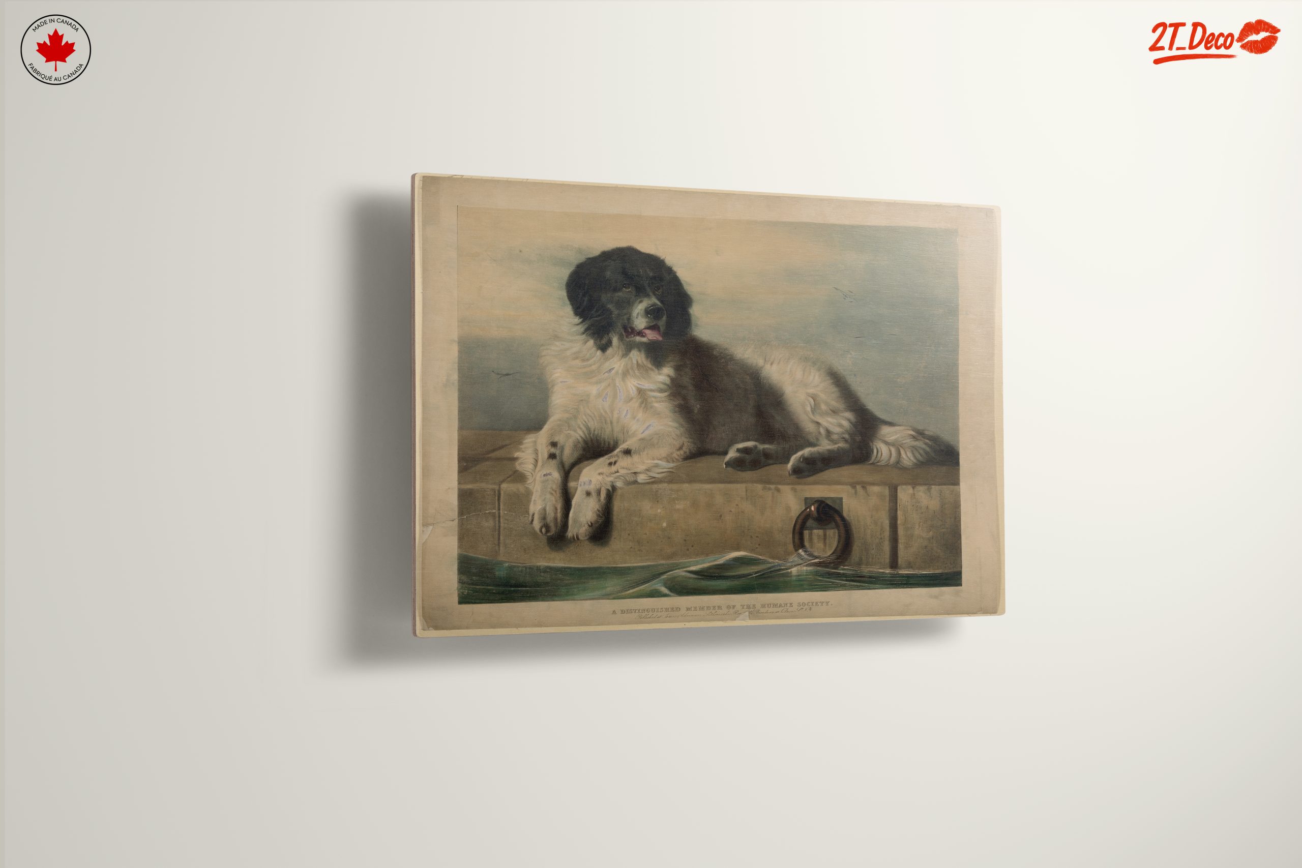 Realistic Dog Portrait Art 2 - Image 13