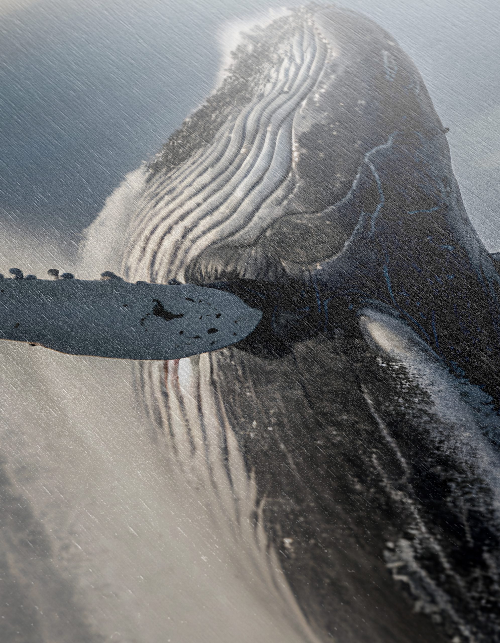 Powerful Whale Breaching in Dramatic Seascape - Image 12