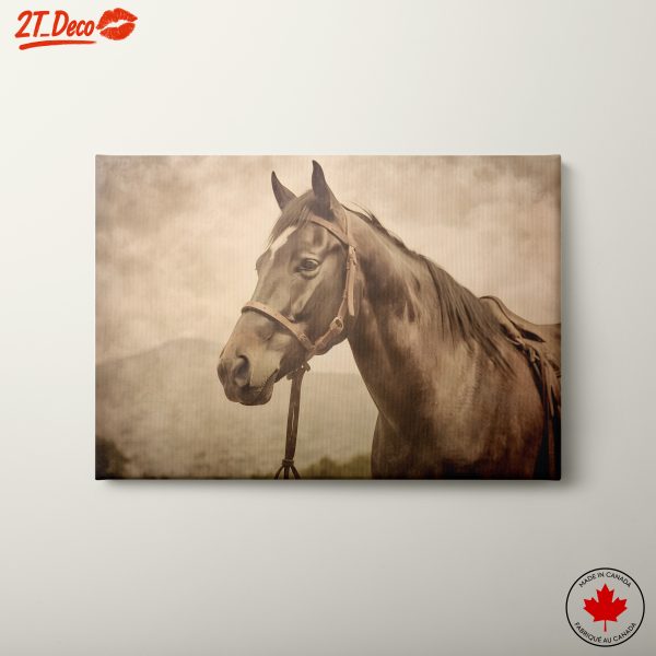 Elegant Horse Portrait in Earthy Tones