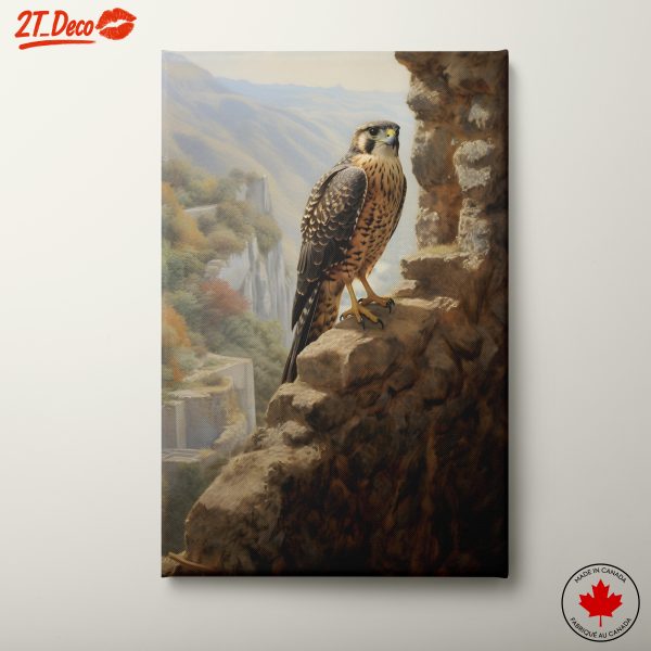 Majestic Falcon on Rocky Cliff