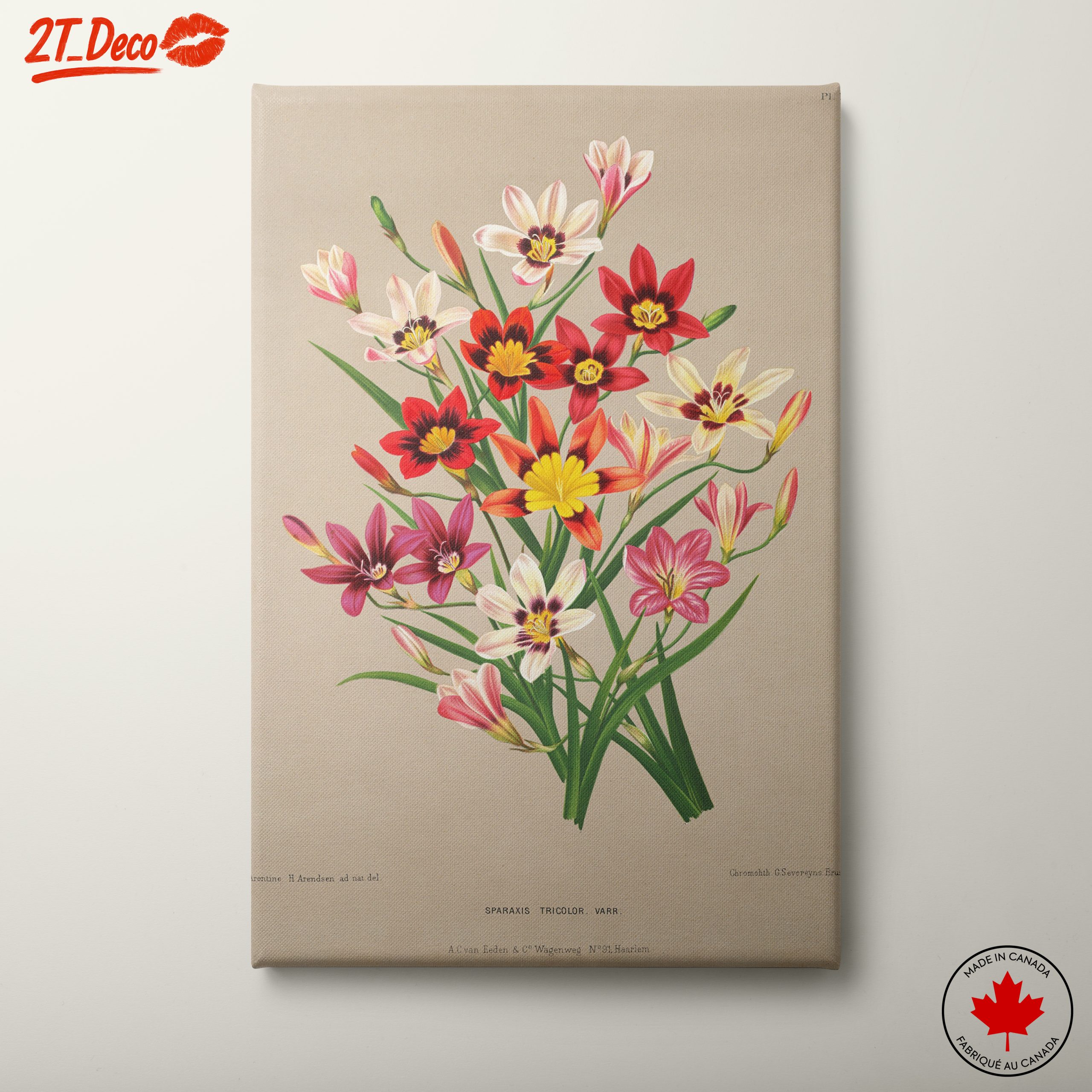 Vibrant Botanical Floral Arrangement