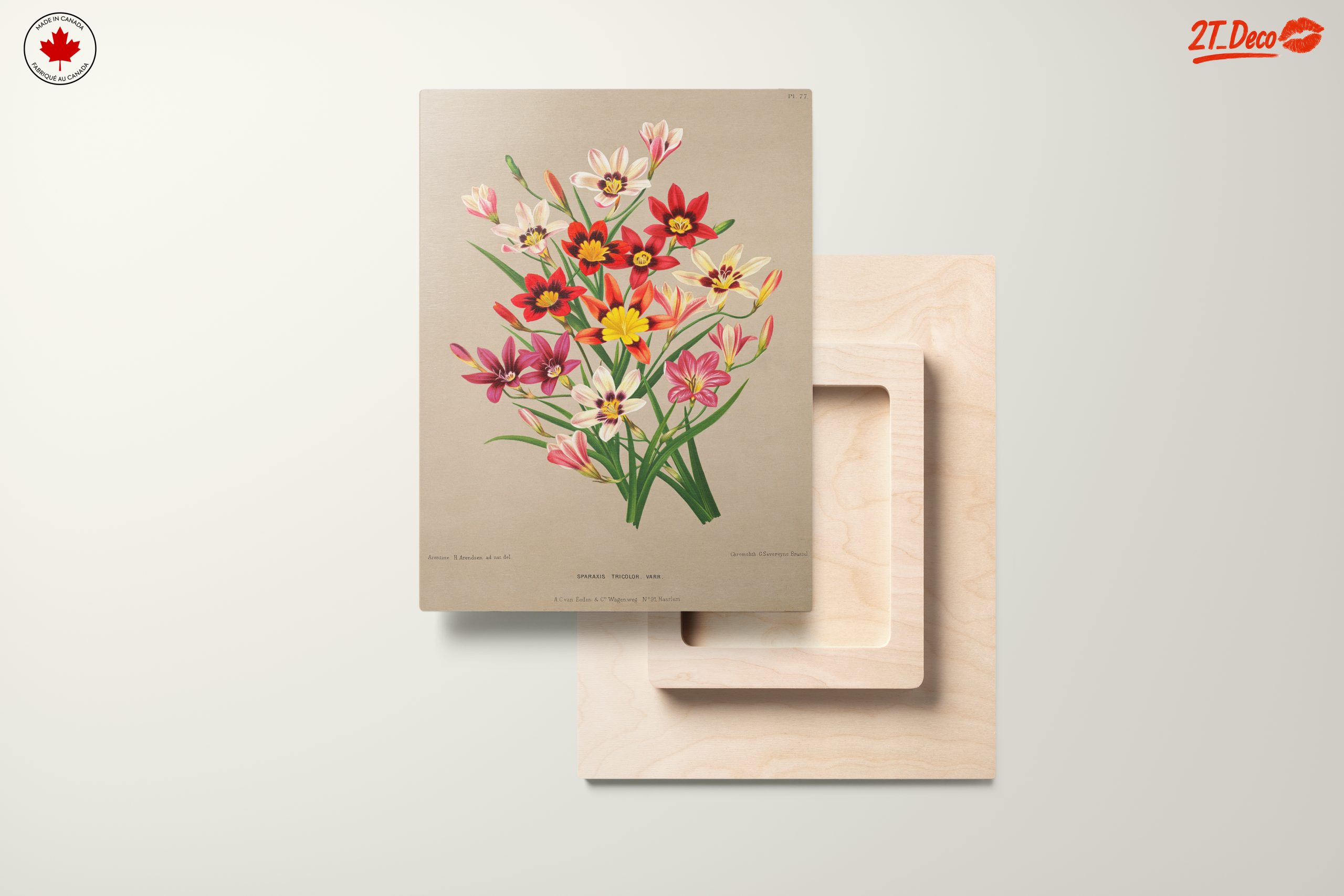Vibrant Botanical Floral Arrangement - Image 11