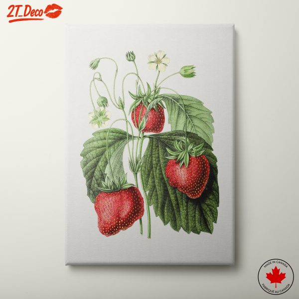Strawberry Botanical Art