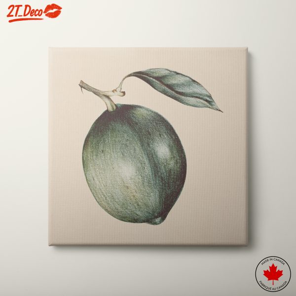 Stylized Avocado Artwork