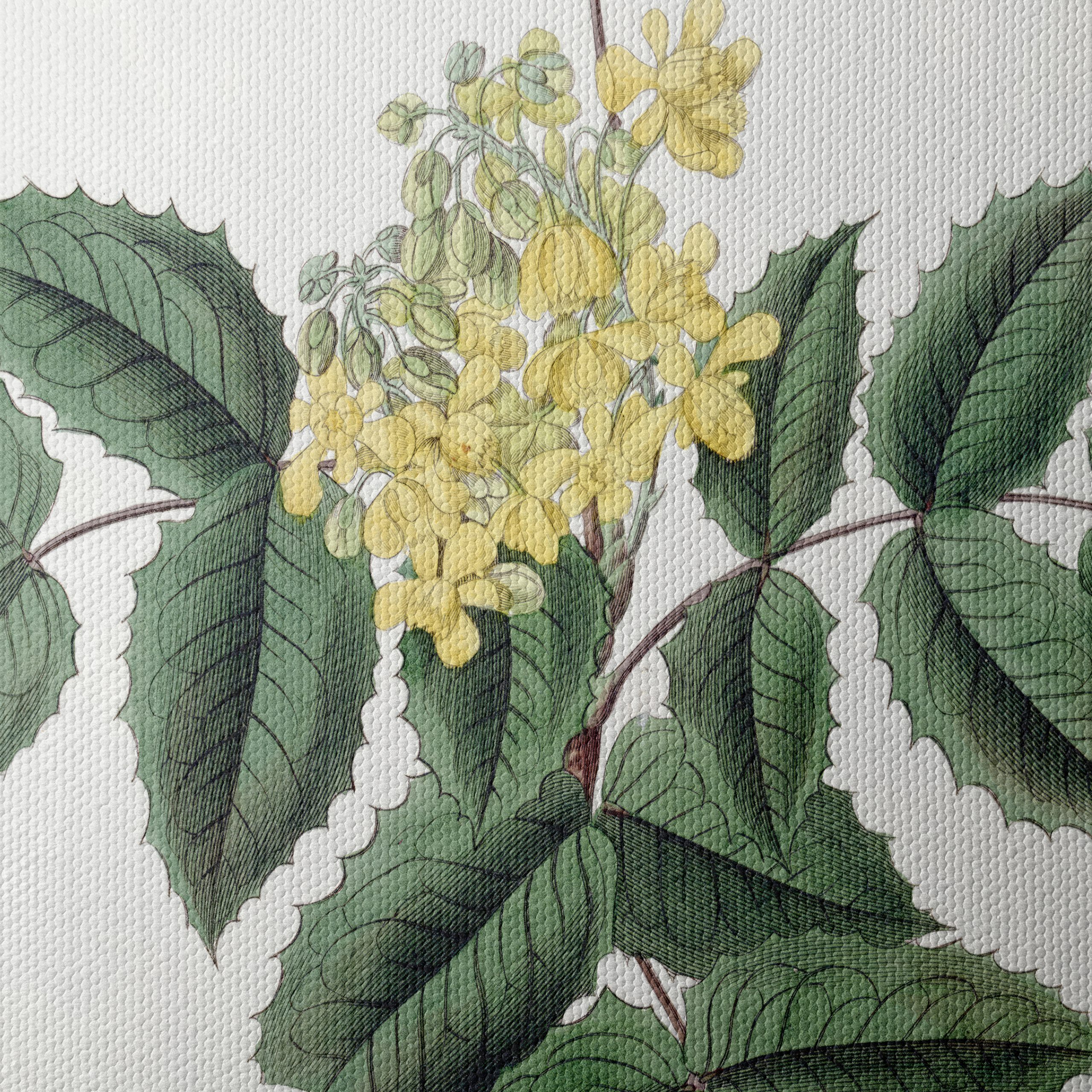 Detailed Botanical Illustration of Yellow Flowering Plant - Image 4