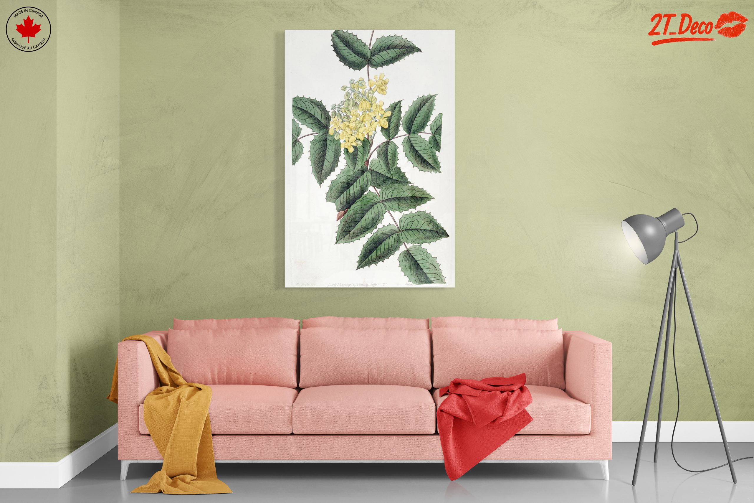 Detailed Botanical Illustration of Yellow Flowering Plant - Image 7