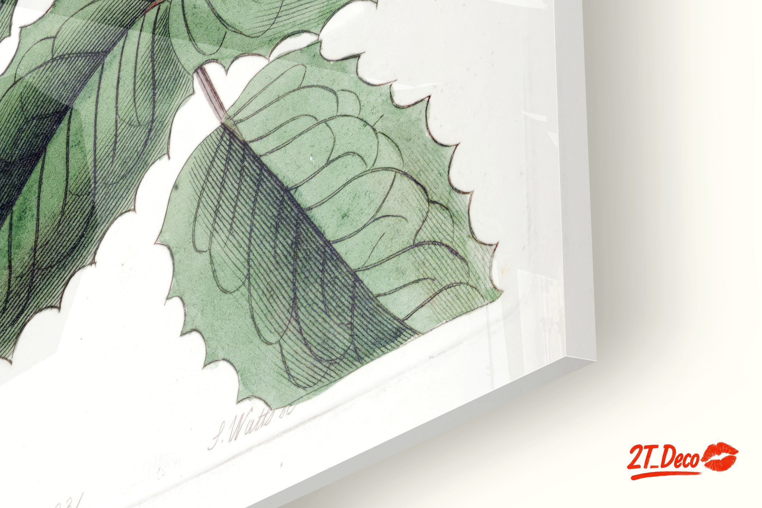 Detailed Botanical Illustration of Yellow Flowering Plant - Image 9