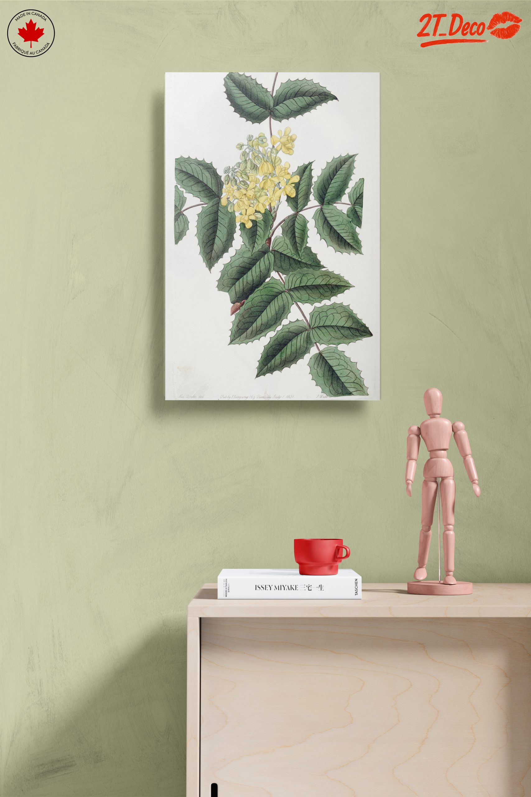 Detailed Botanical Illustration of Yellow Flowering Plant - Image 14