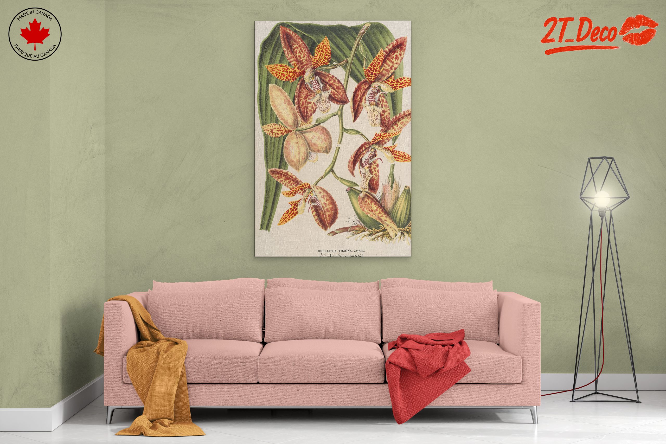 Detailed Botanical Illustration of Orchids - Image 2
