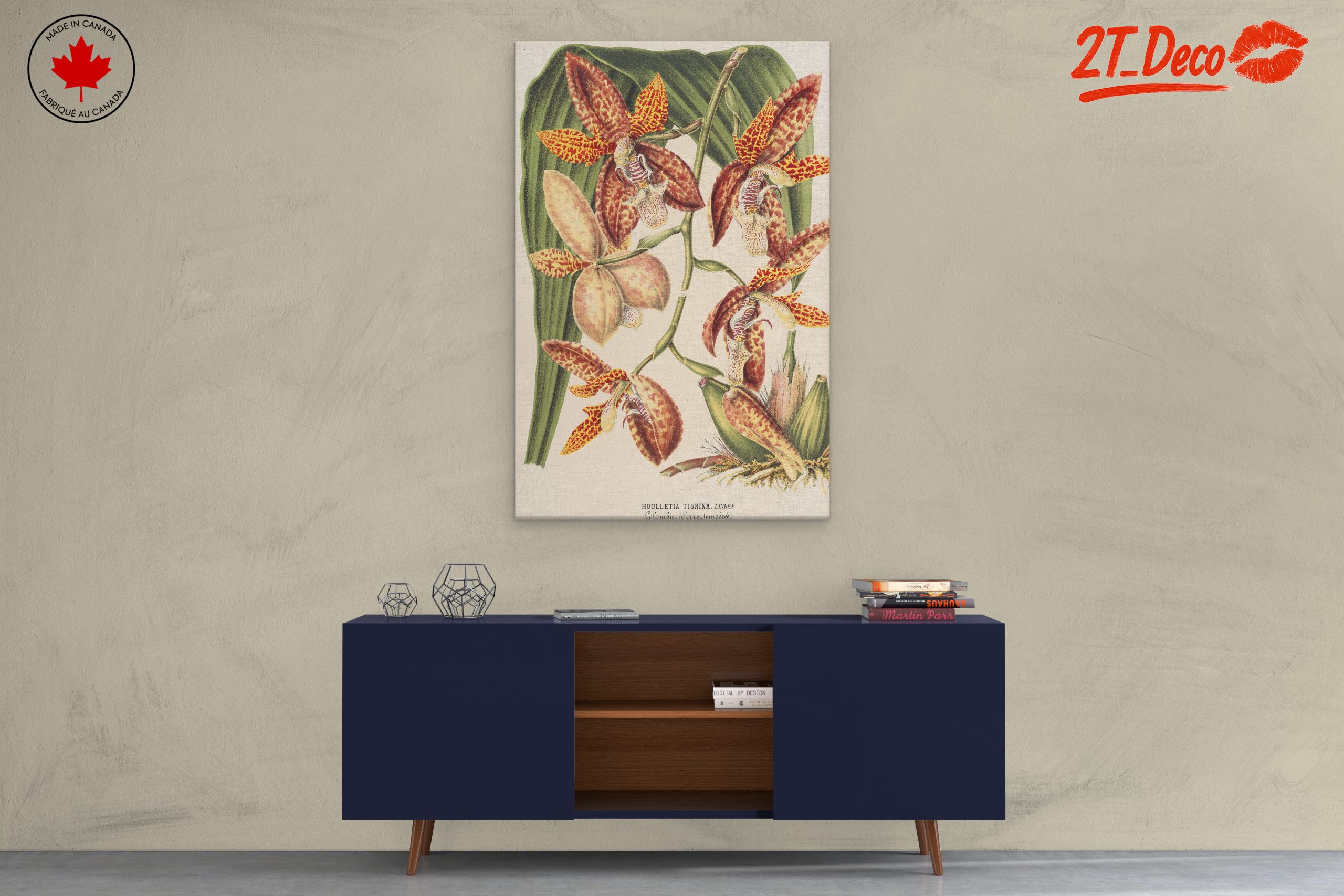 Detailed Botanical Illustration of Orchids - Image 3