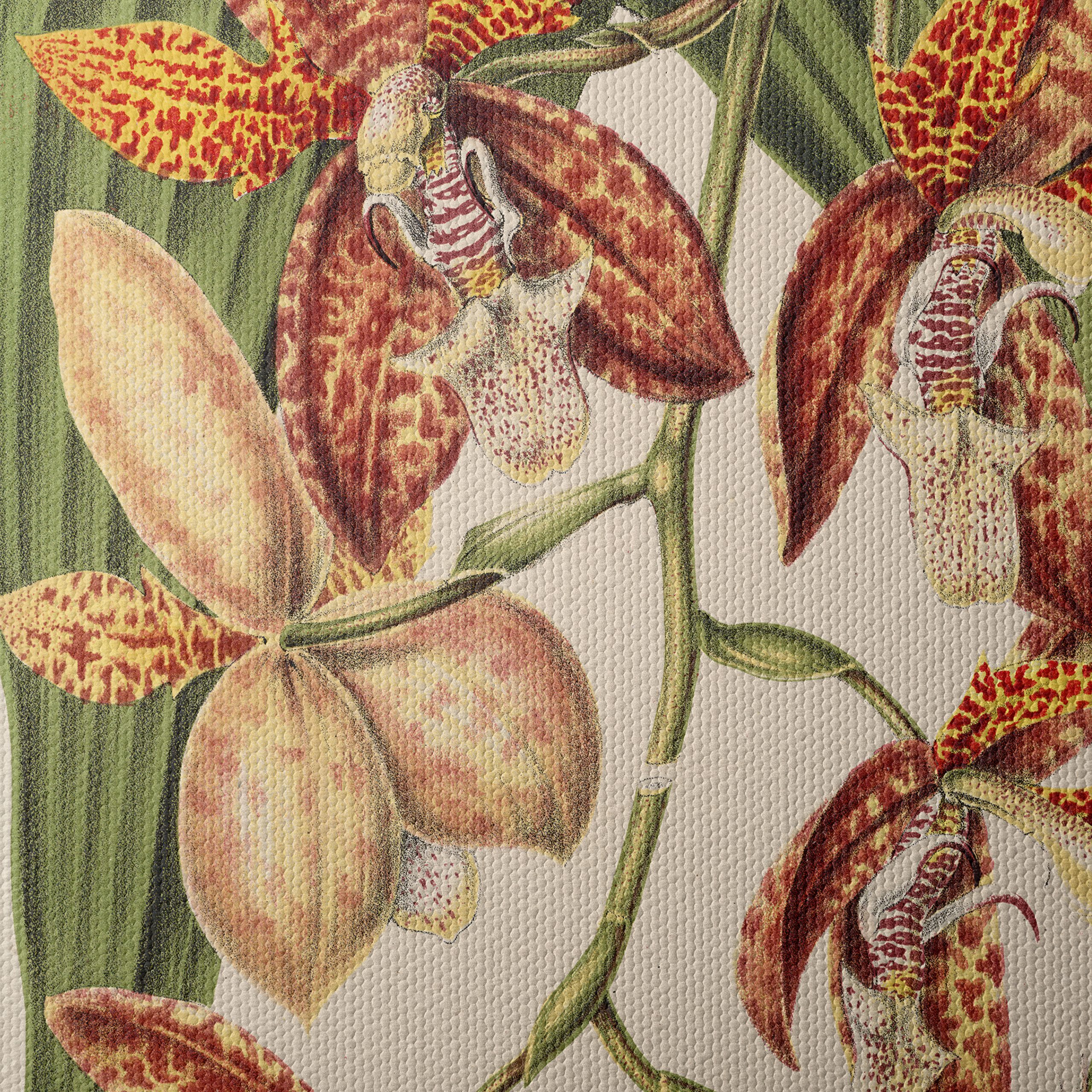 Detailed Botanical Illustration of Orchids - Image 4