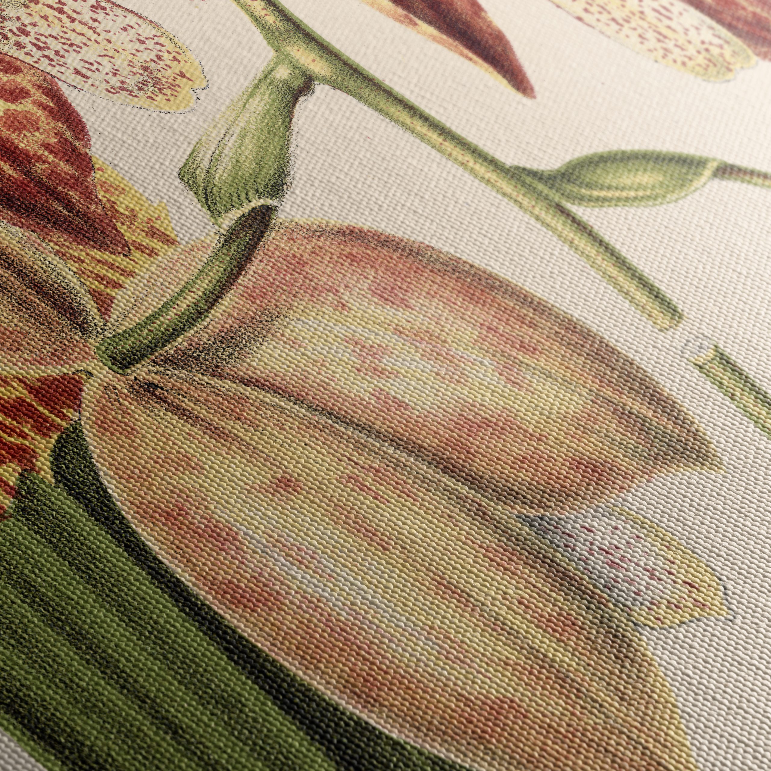 Detailed Botanical Illustration of Orchids - Image 5