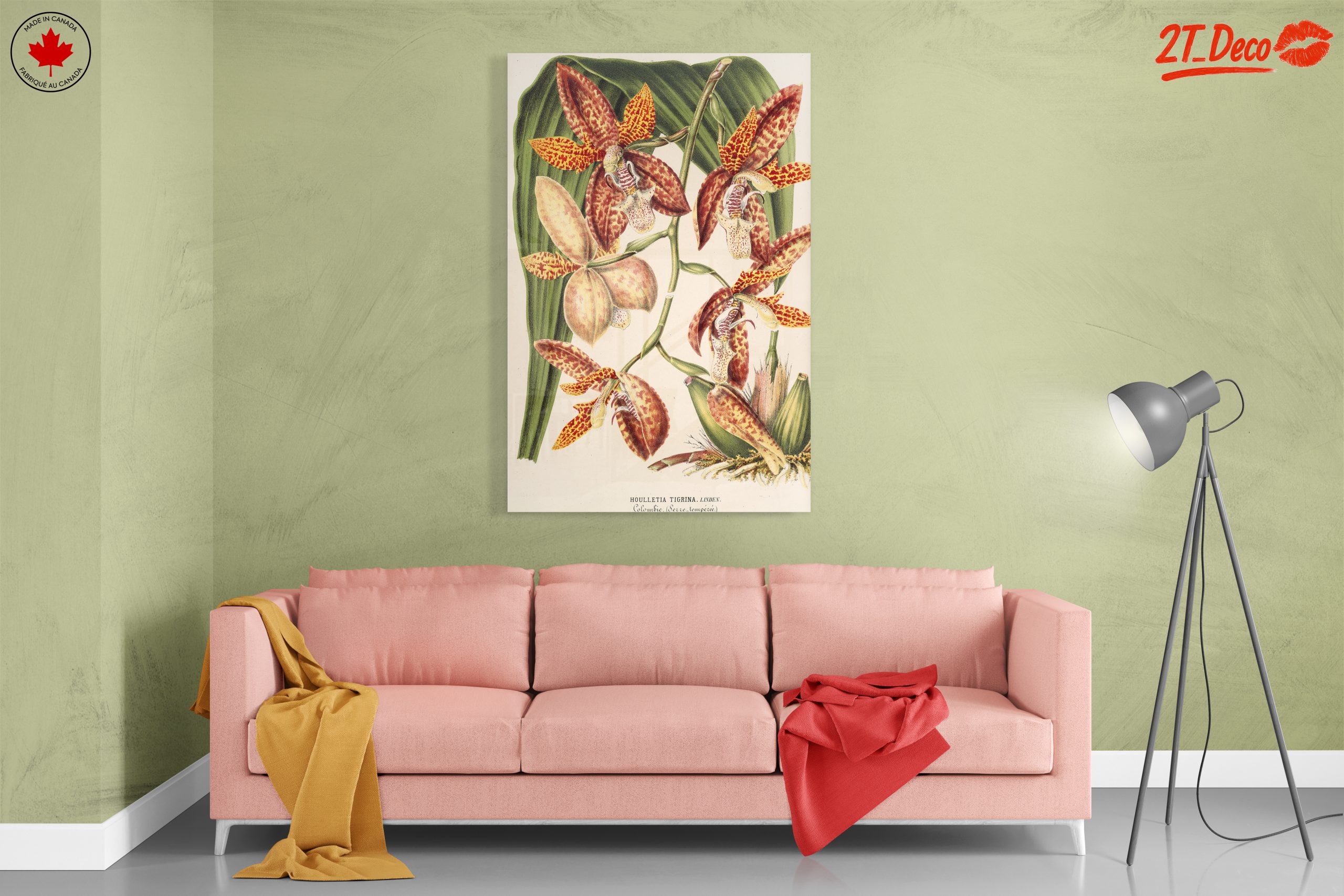 Detailed Botanical Illustration of Orchids - Image 7